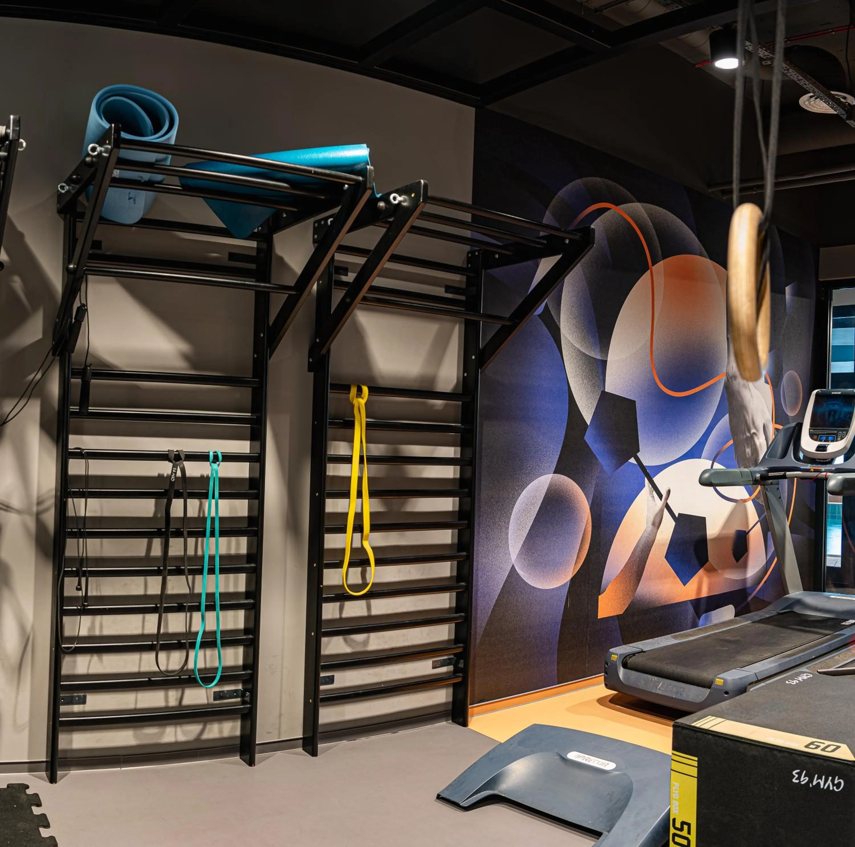 Fitness centre/facilities in Novotel Szczecin Centrum