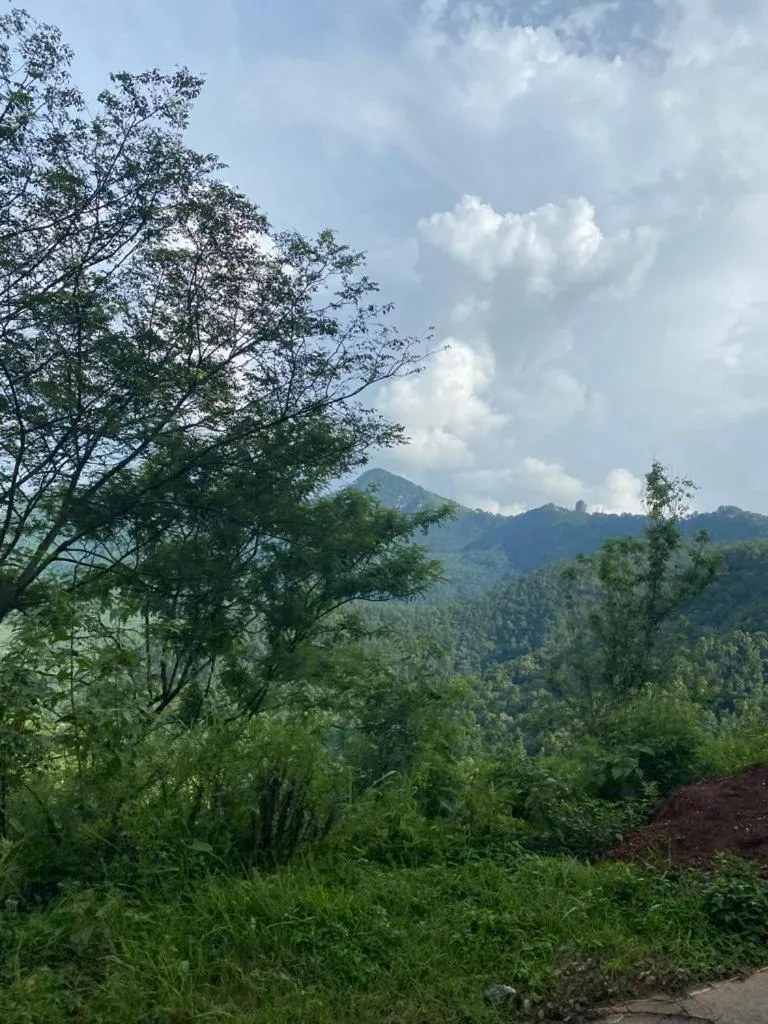 View (from property/room) in Hotel Aagaman - Best Family Hotel in Bandipur