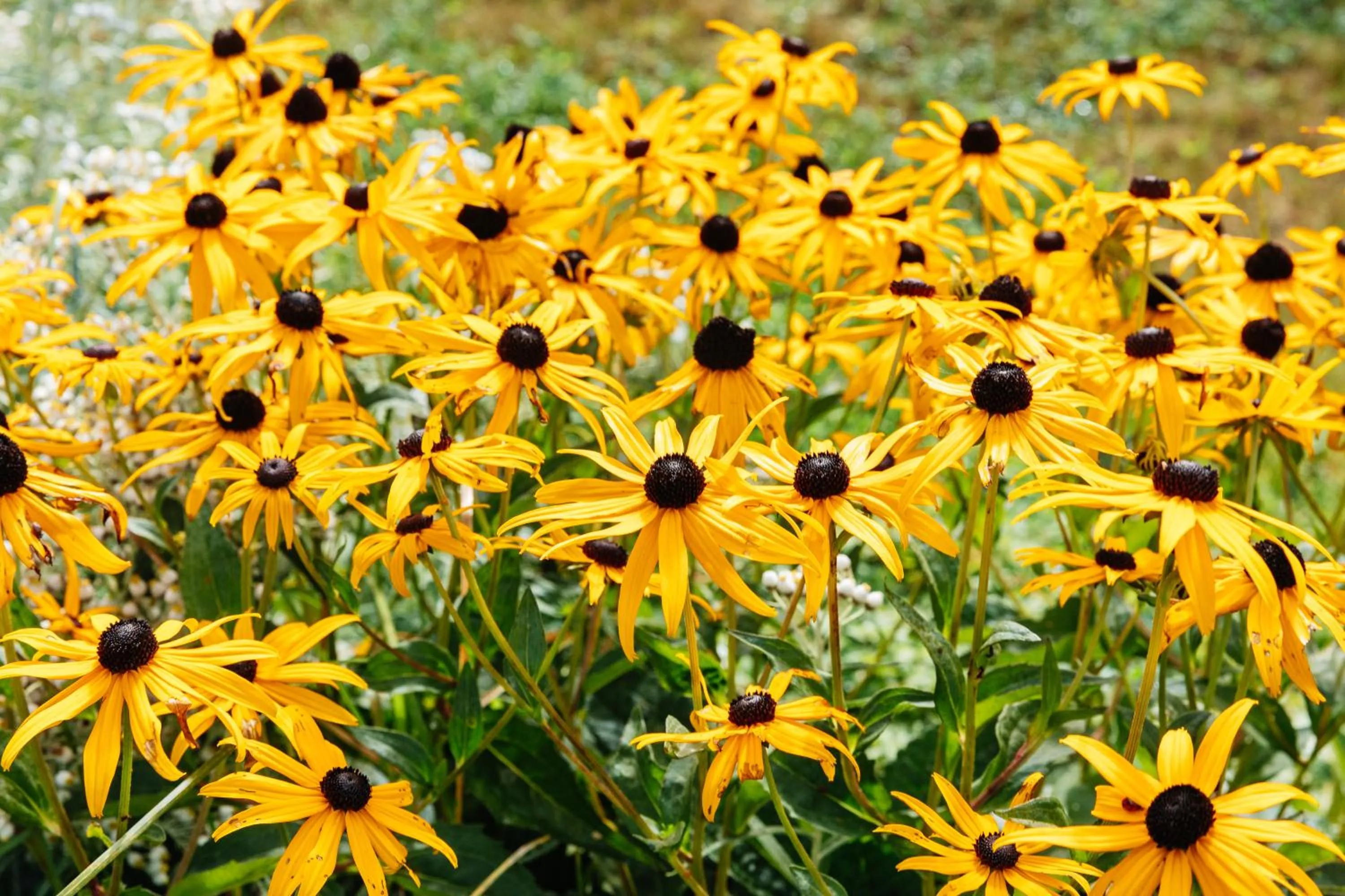 Natural landscape in ZUŠU KLĒTS