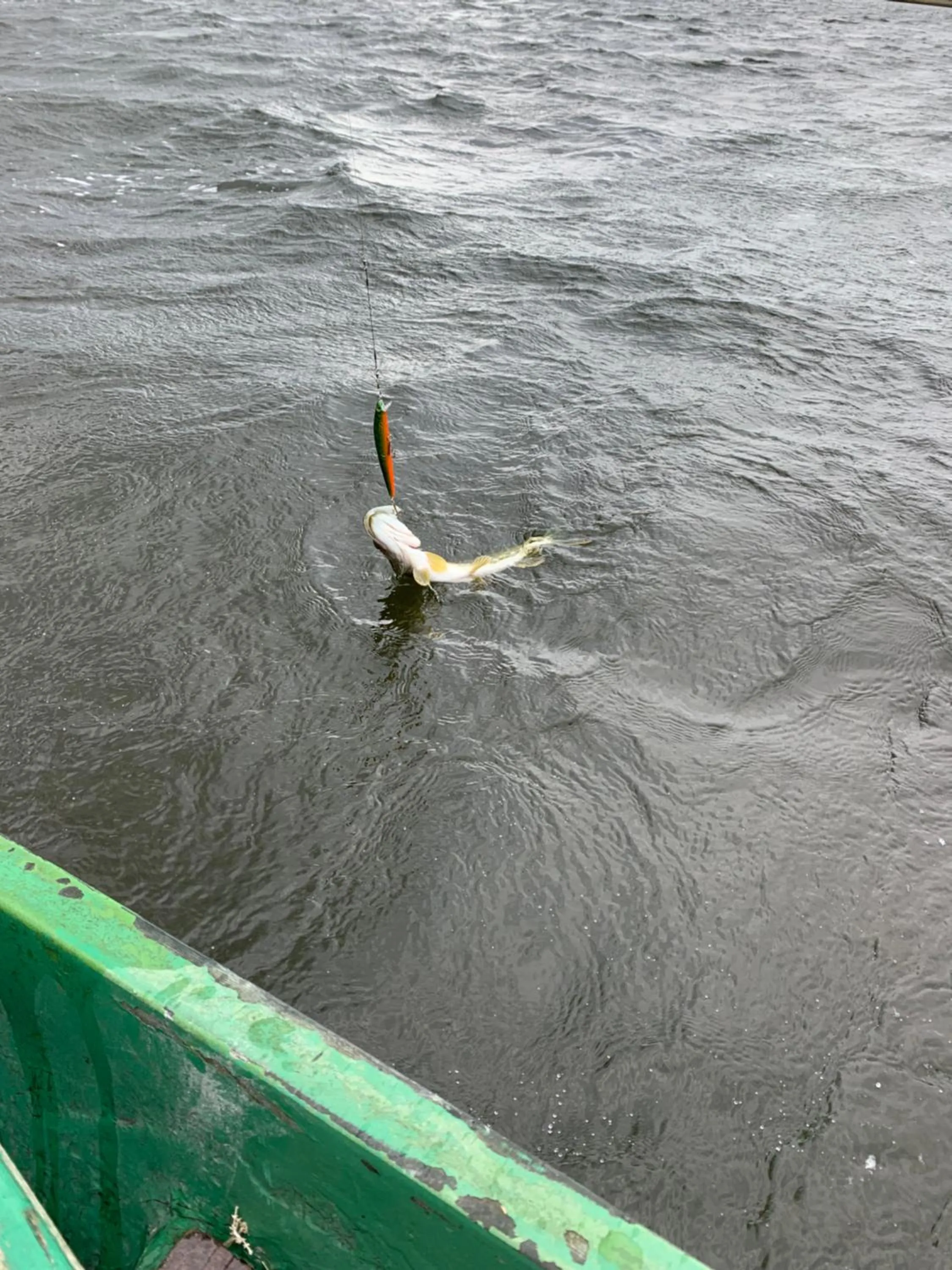 Fishing in ZUŠU KLĒTS