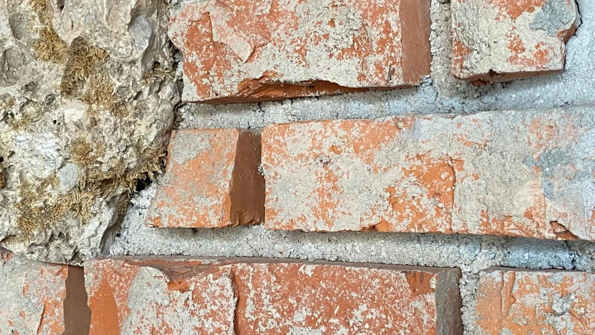 Bosco della Serenissima