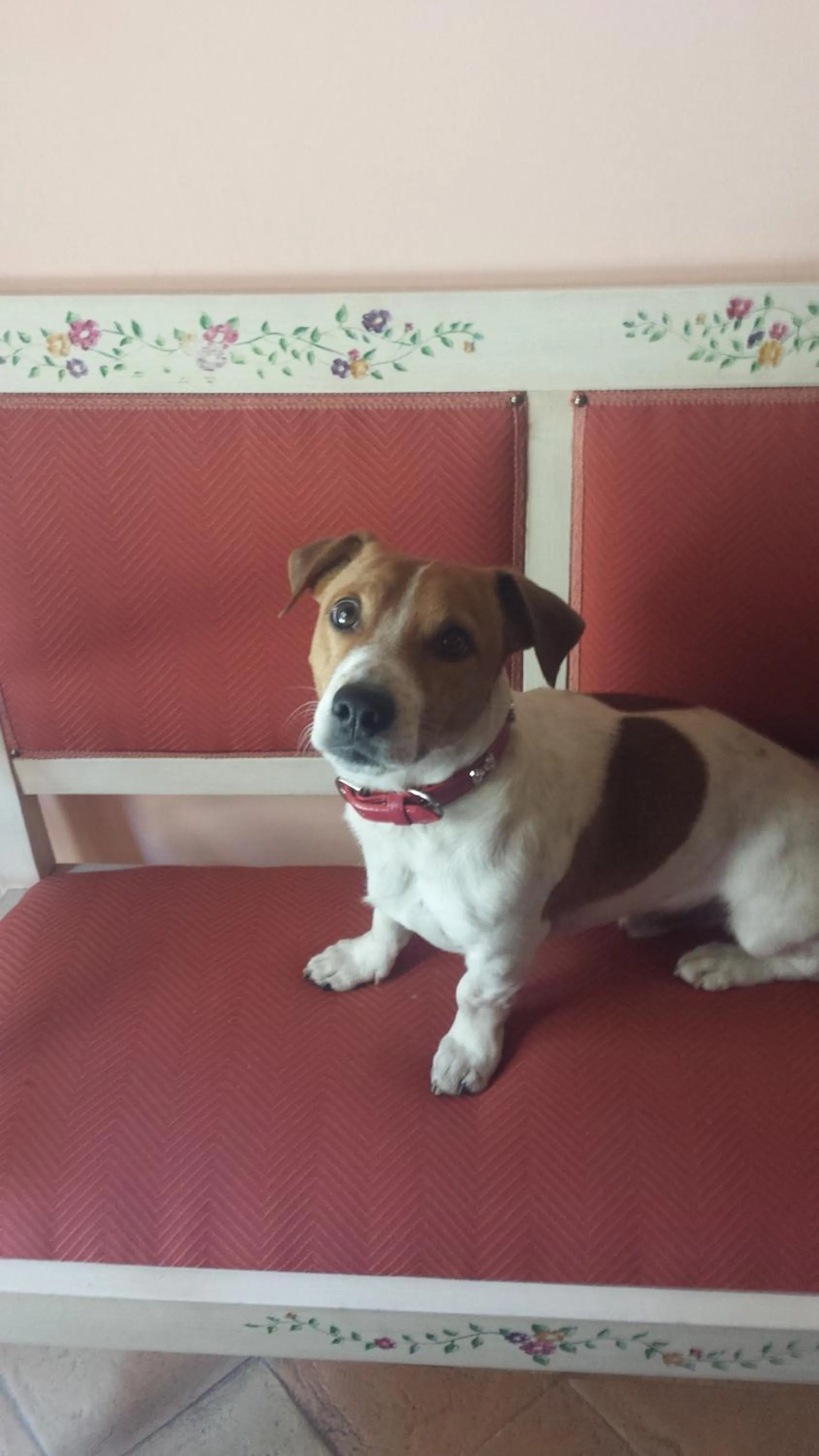 Day in Borgo Di Celle