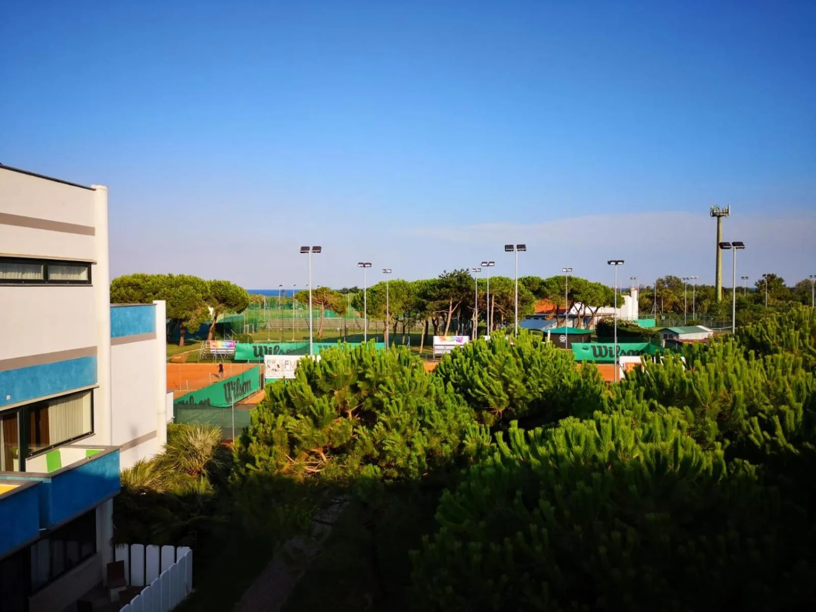 Garden view in Ca' Del Moro