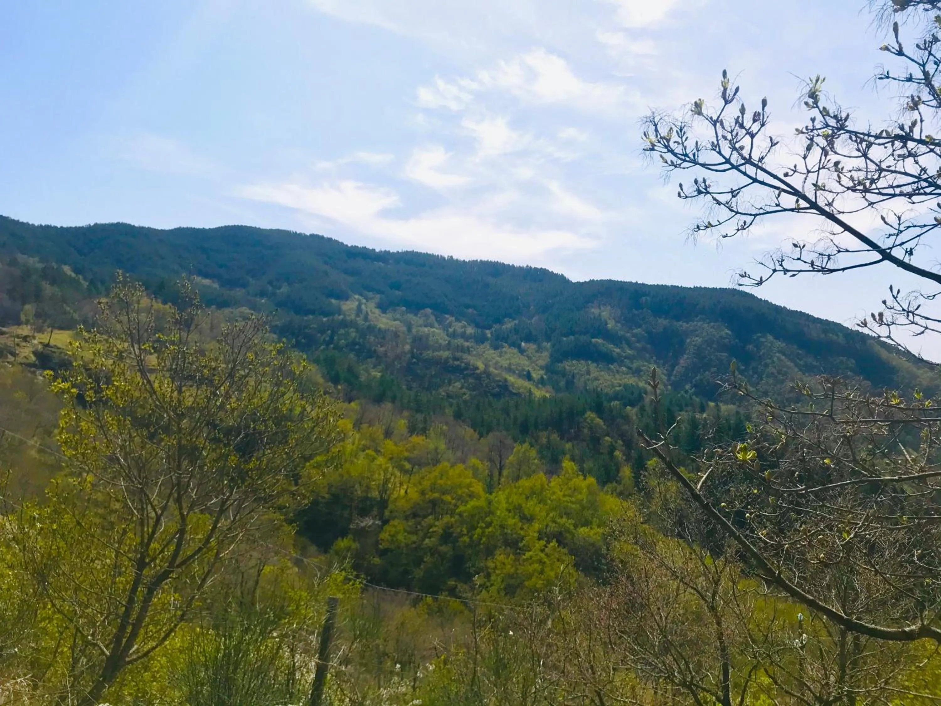 Summer in Borgo I Tre Baroni - Spa Suites & Resort