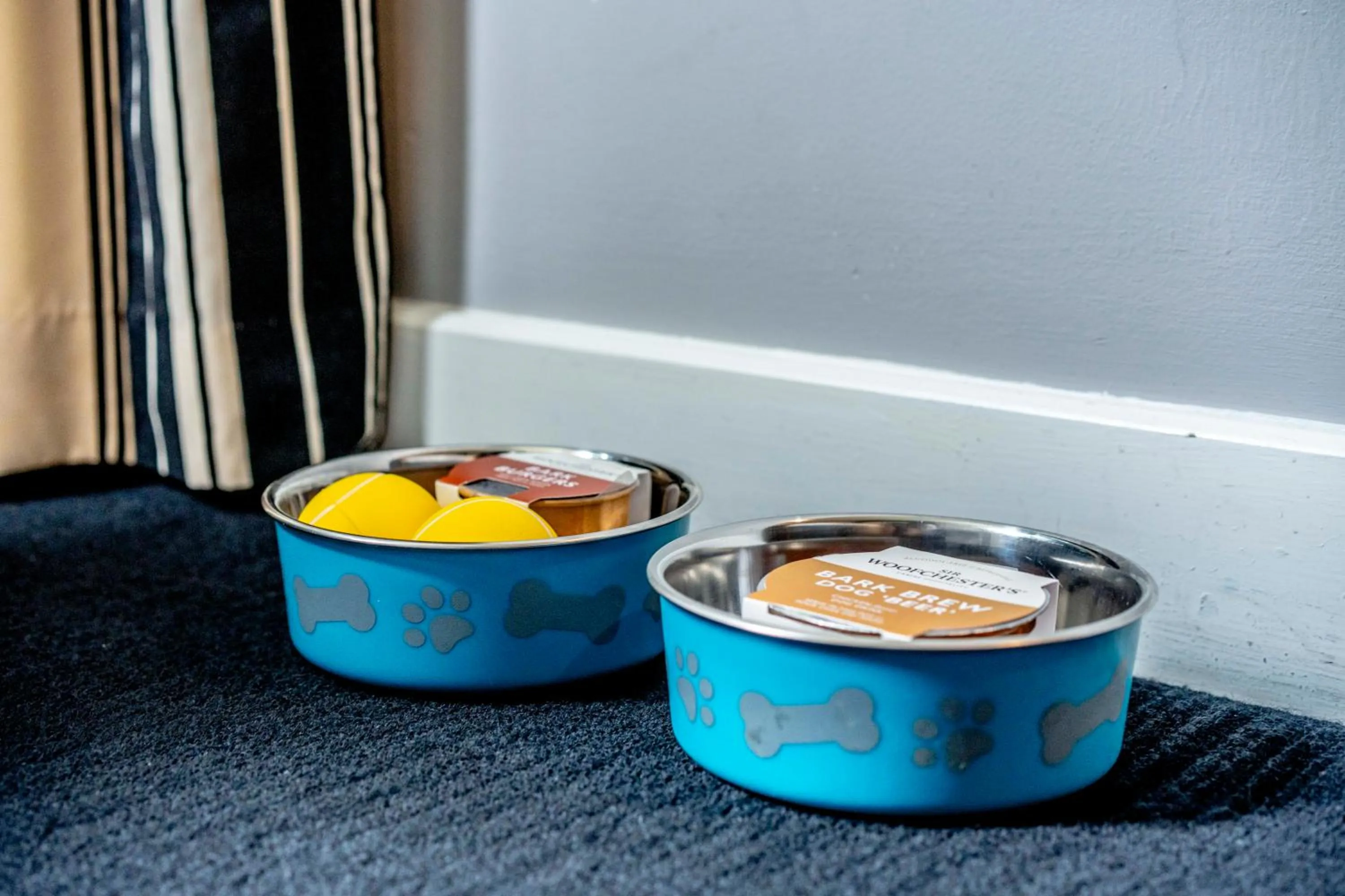 pet friendly in Colessio