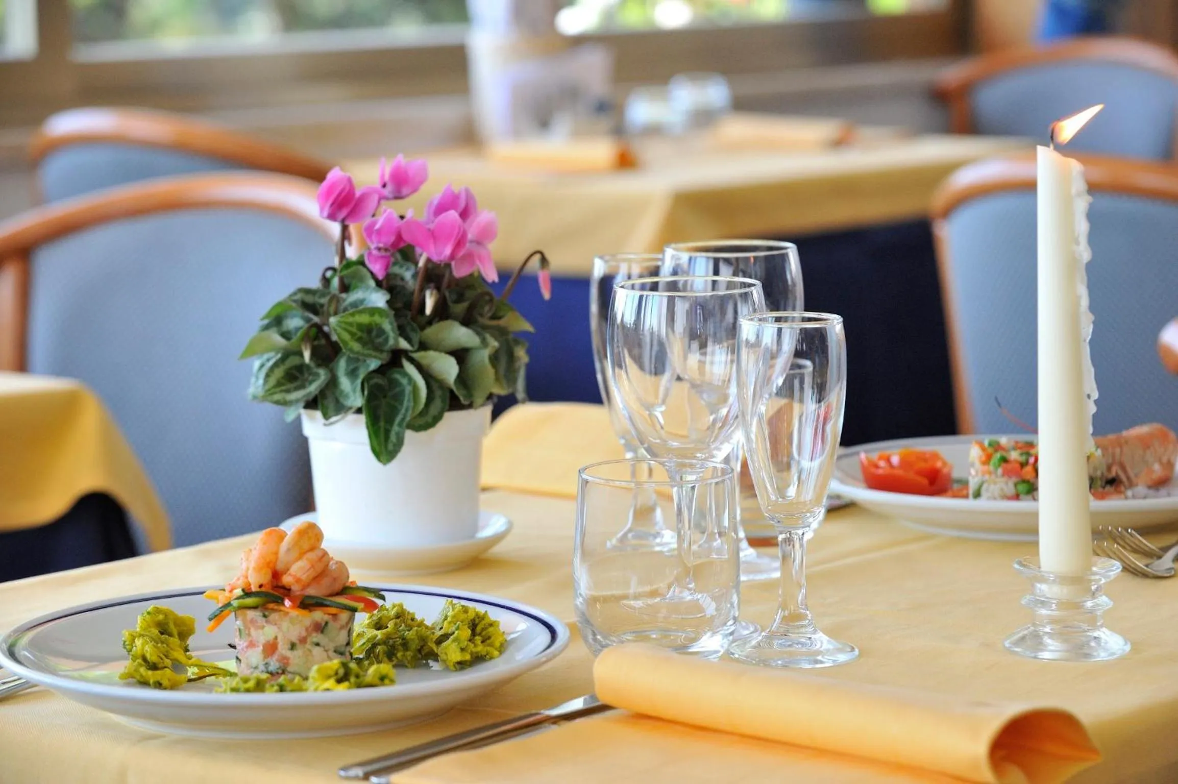 Restaurant/places to eat in Hotel Palace