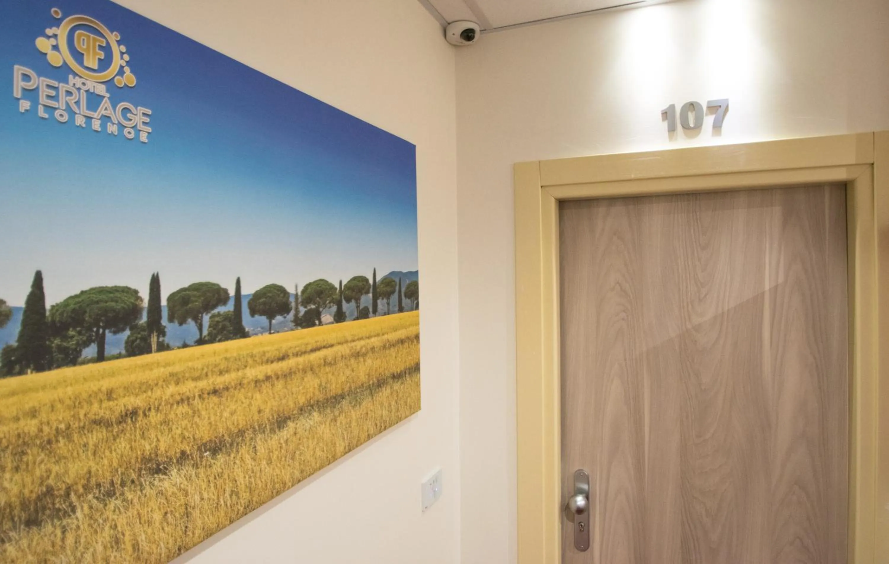 Decorative detail in Hotel Perlage Florence - Free city tax with Private Parking & Fast Wifi