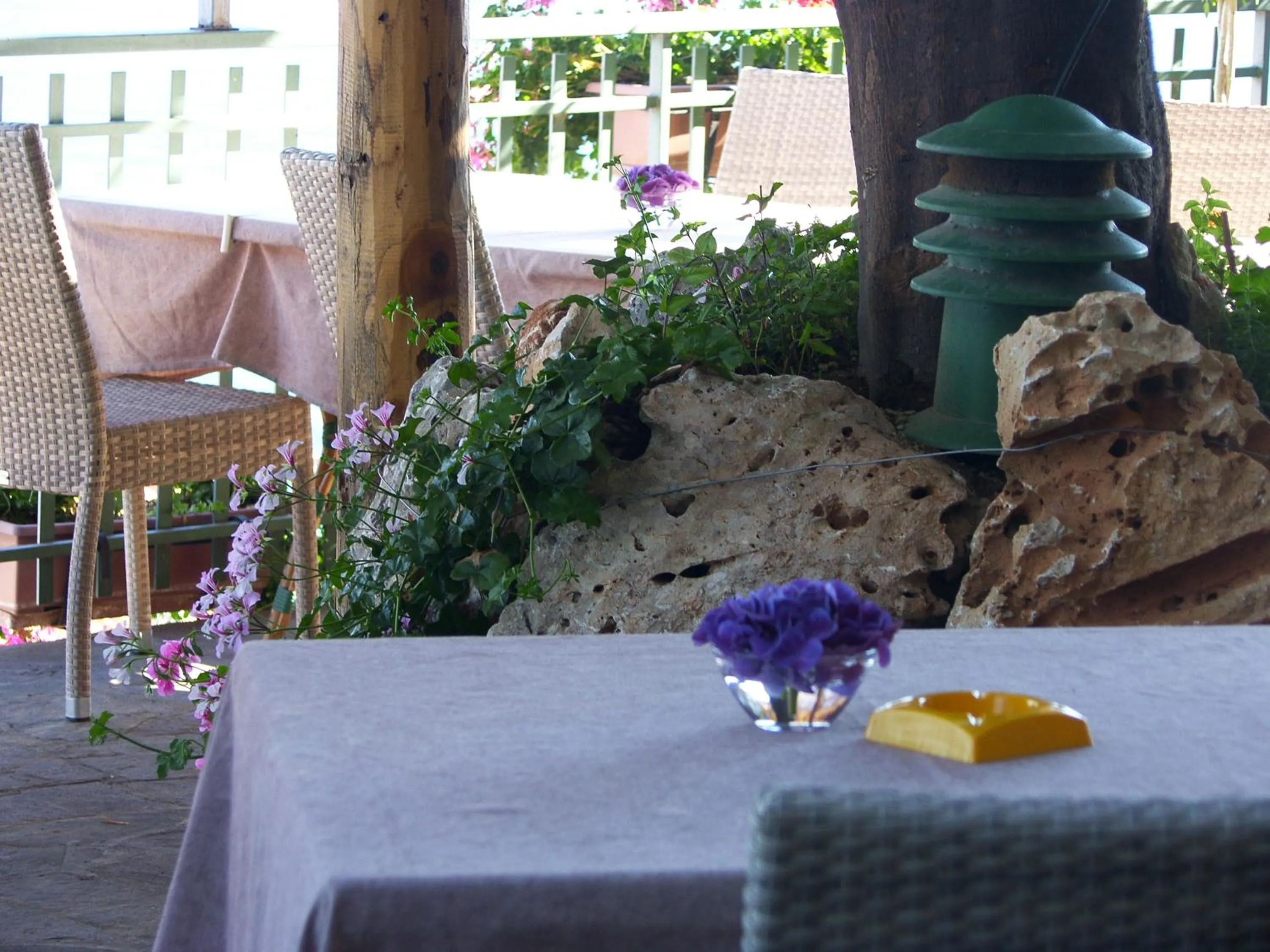 Garden in Locanda Degli Agrumi
