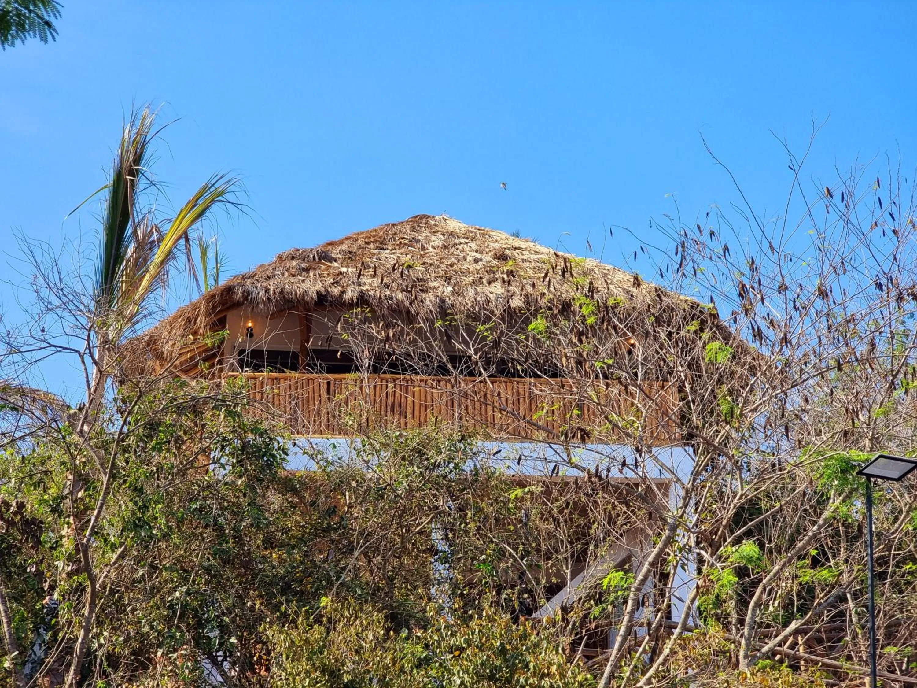 Natural landscape in Palm Valley Cabins