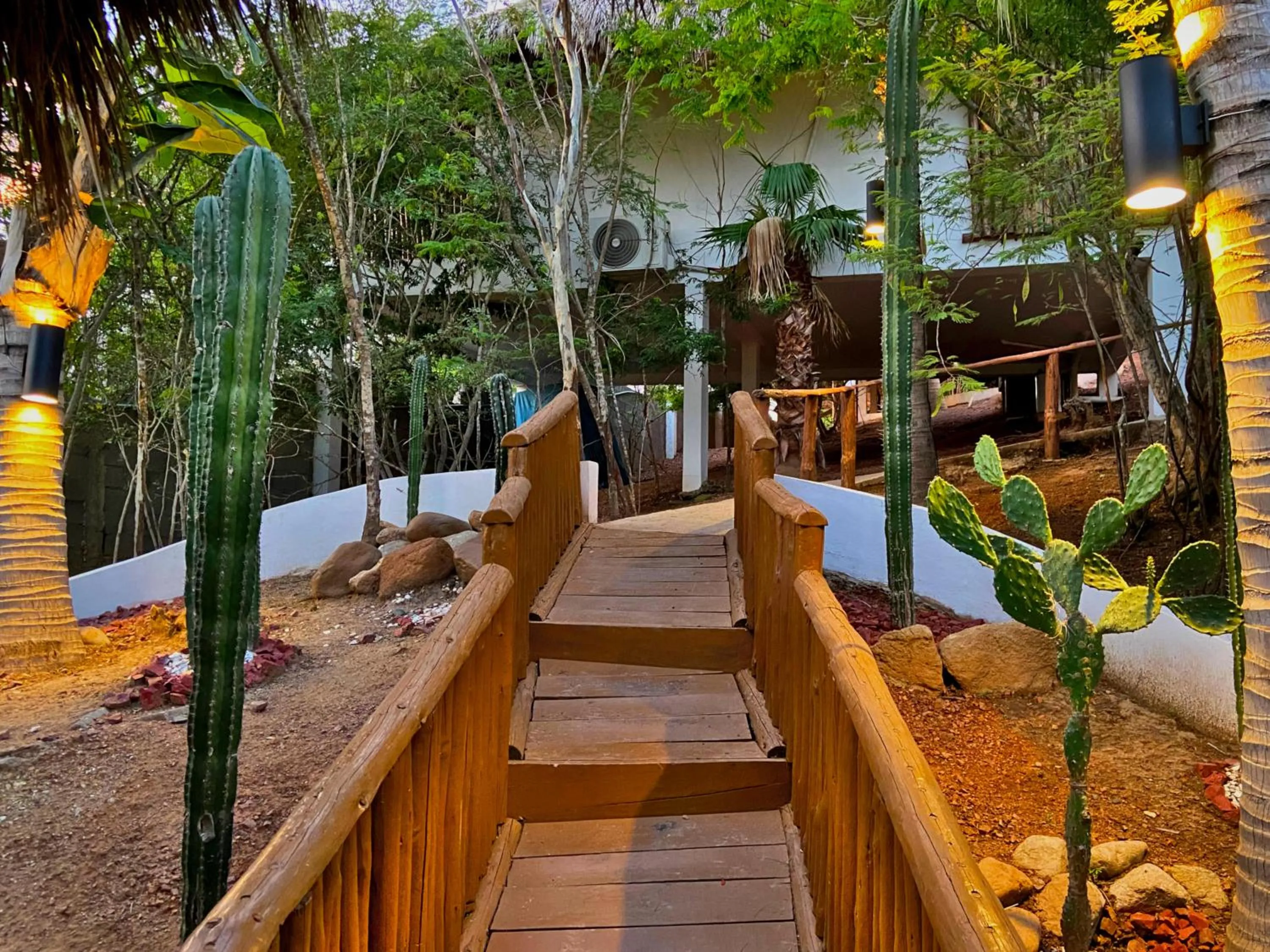 Spring in Palm Valley Cabins