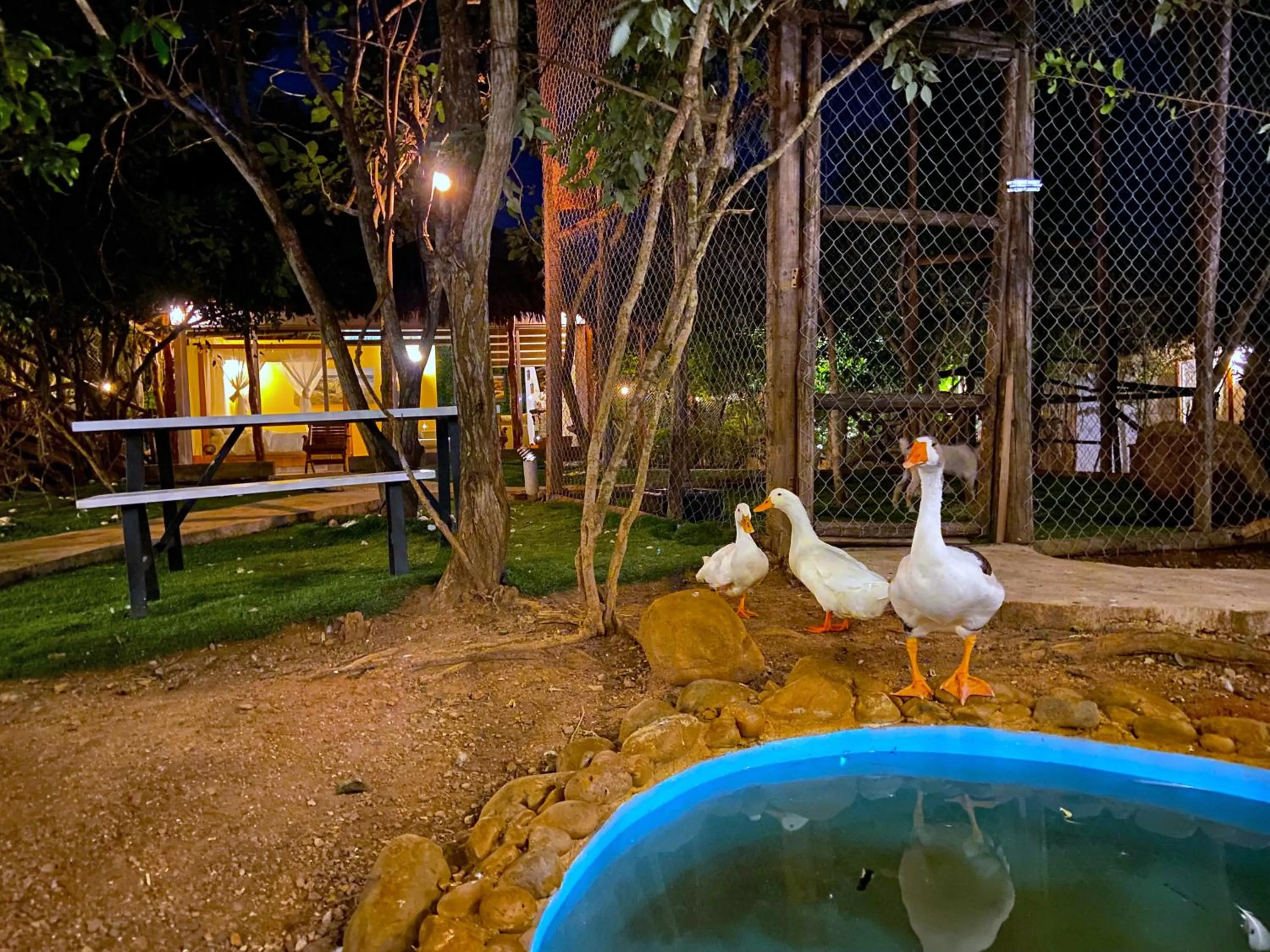 Night in Palm Valley Cabins