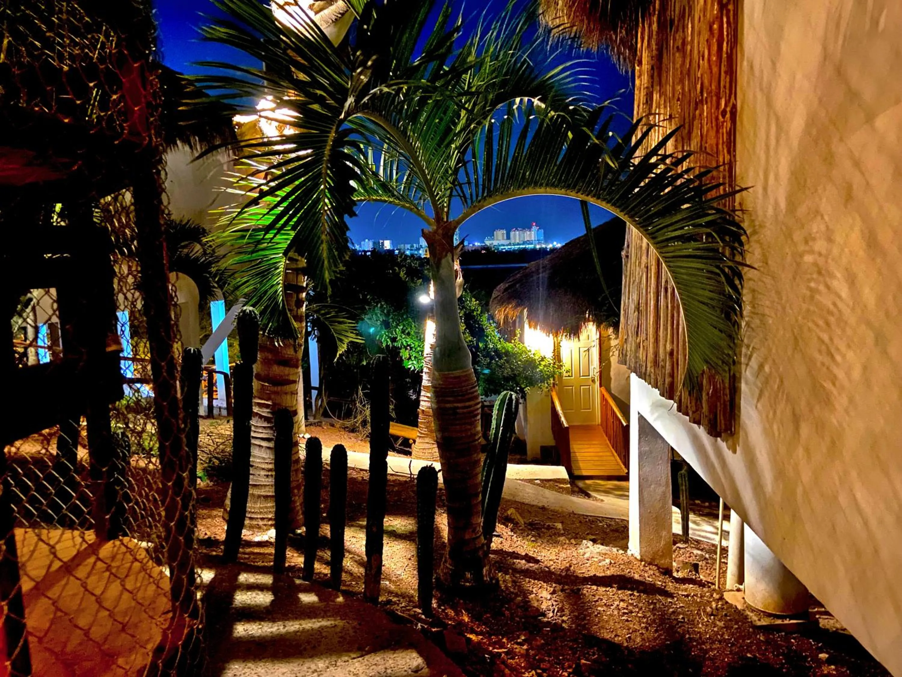 Patio in Palm Valley Cabins
