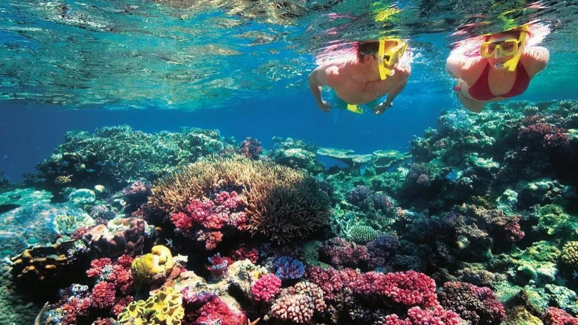 Snorkeling in Swiss Chalet Garden, Pool Resort