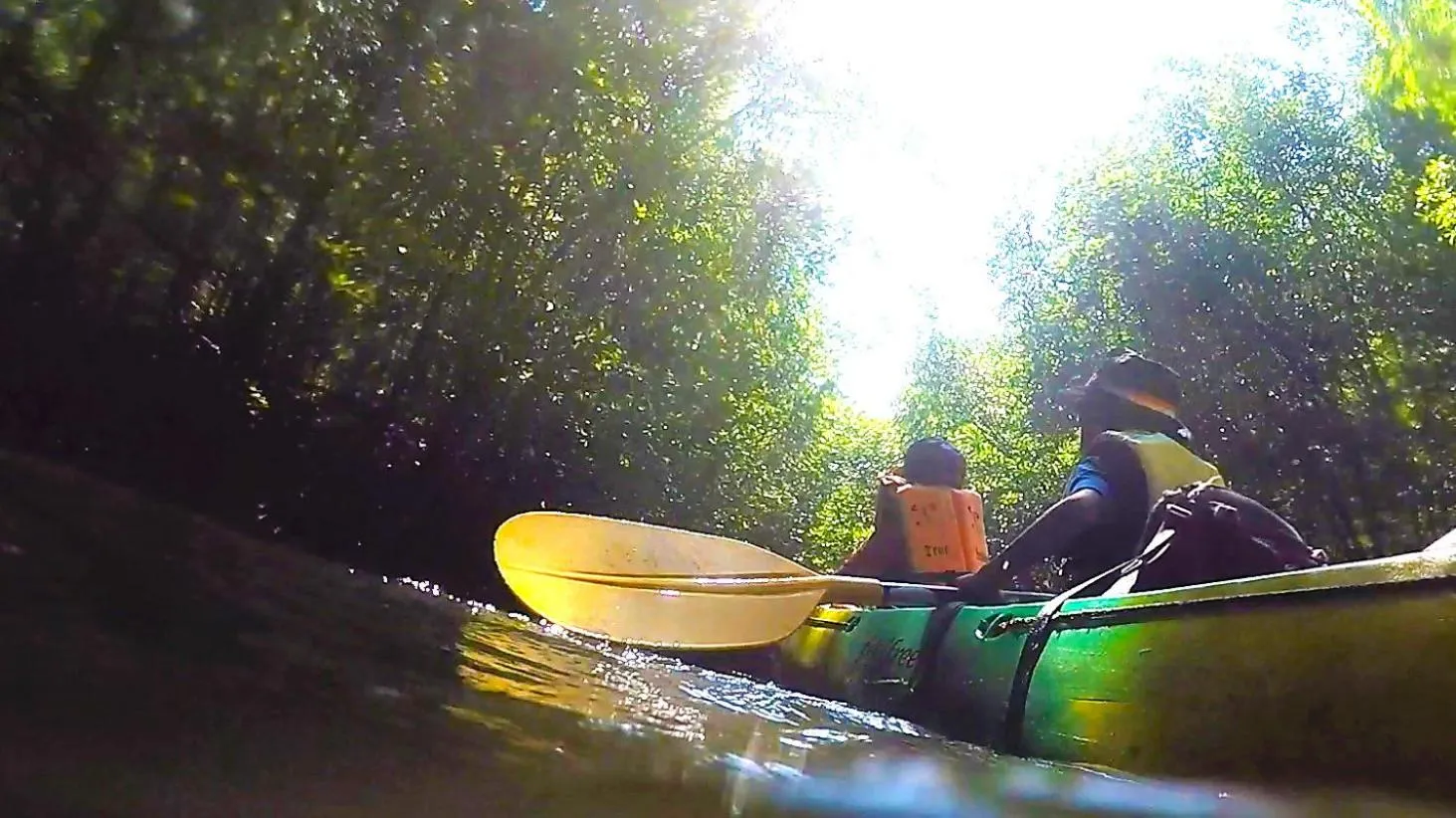 Canoeing in Swiss Chalet Garden, Pool Resort