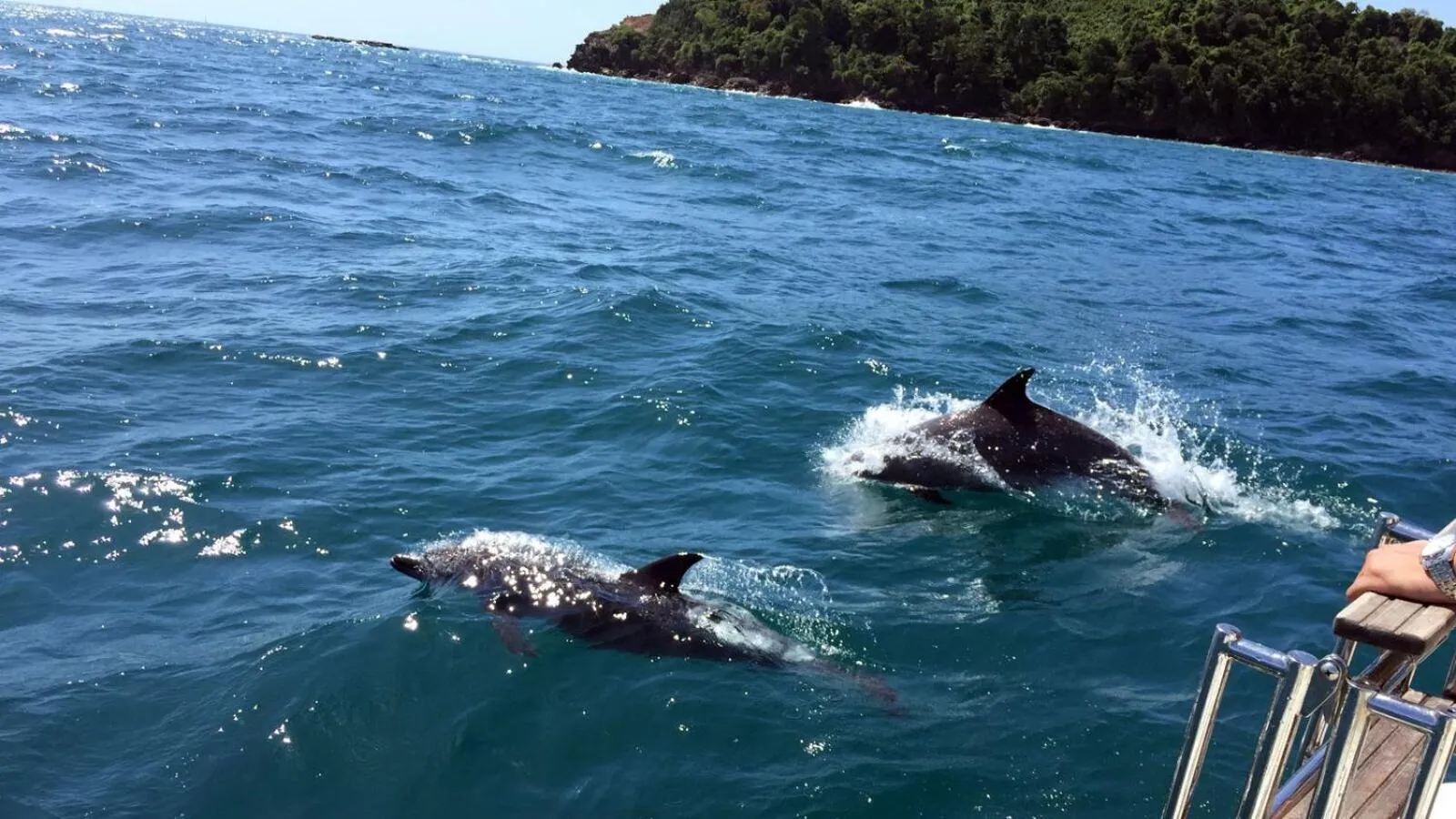 Snorkeling in Swiss Chalet Garden, Pool Resort