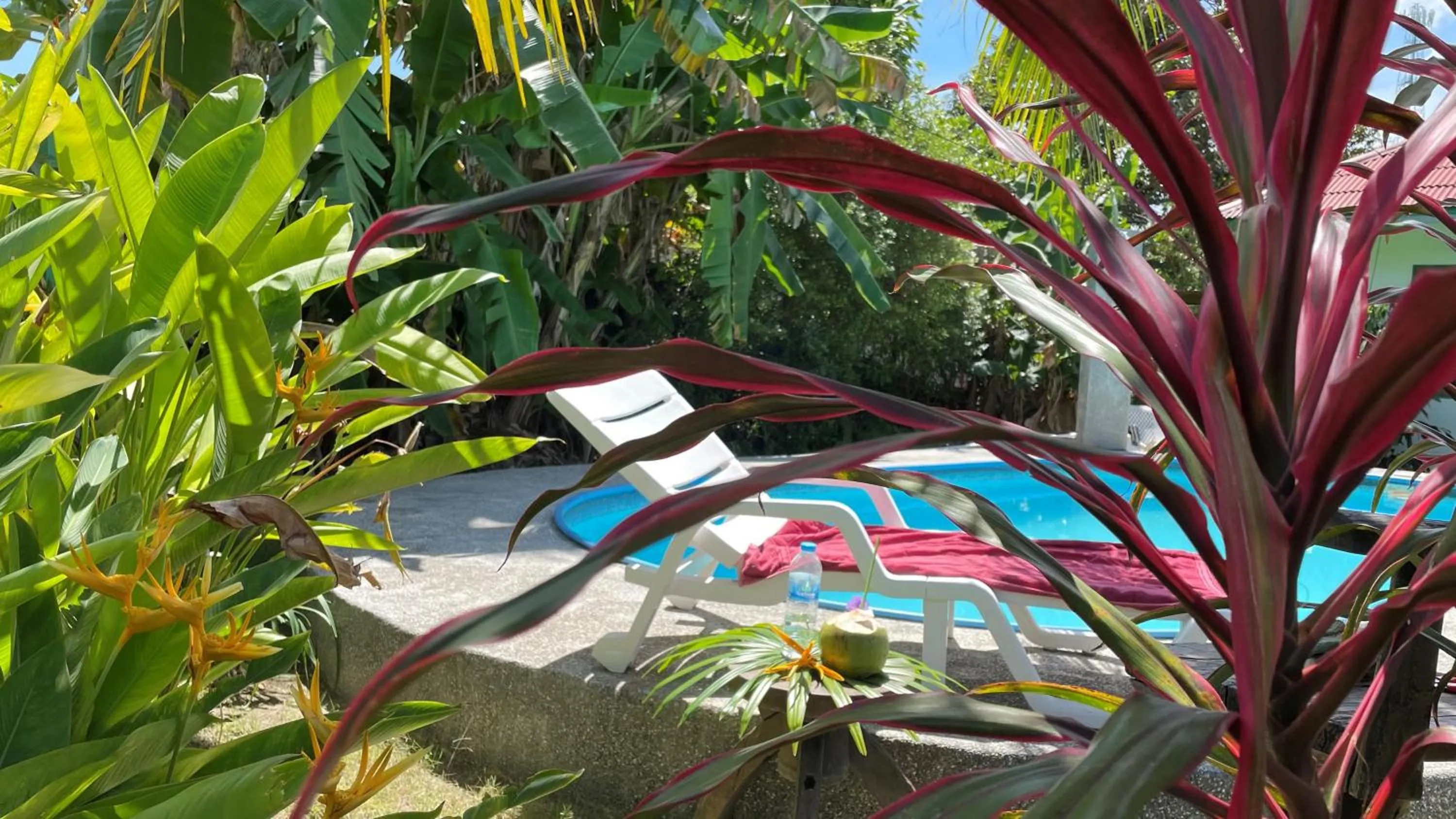 Swimming pool in Swiss Chalet Garden, Pool Resort