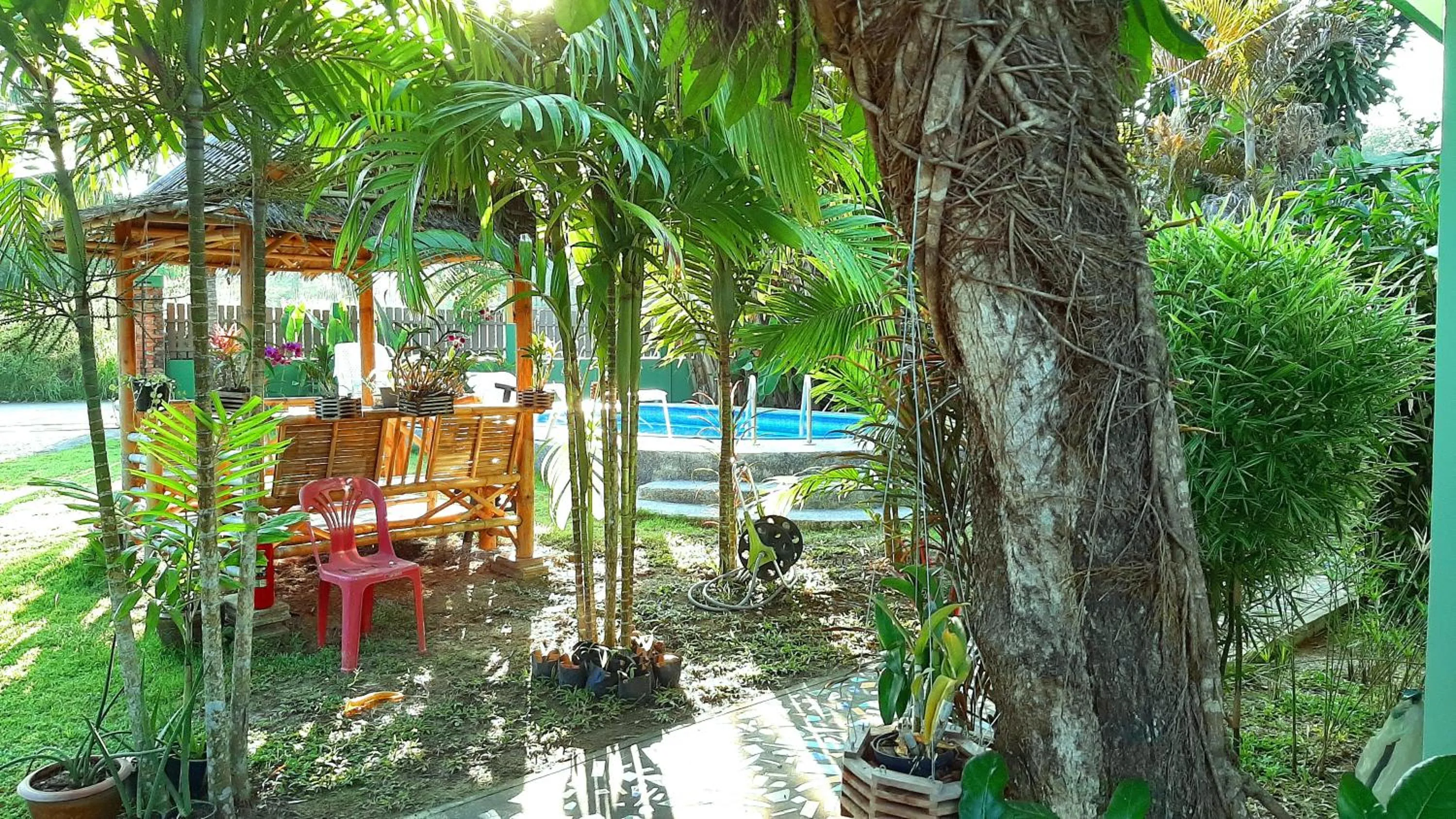 Restaurant/places to eat in Swiss Chalet Garden, Pool Resort