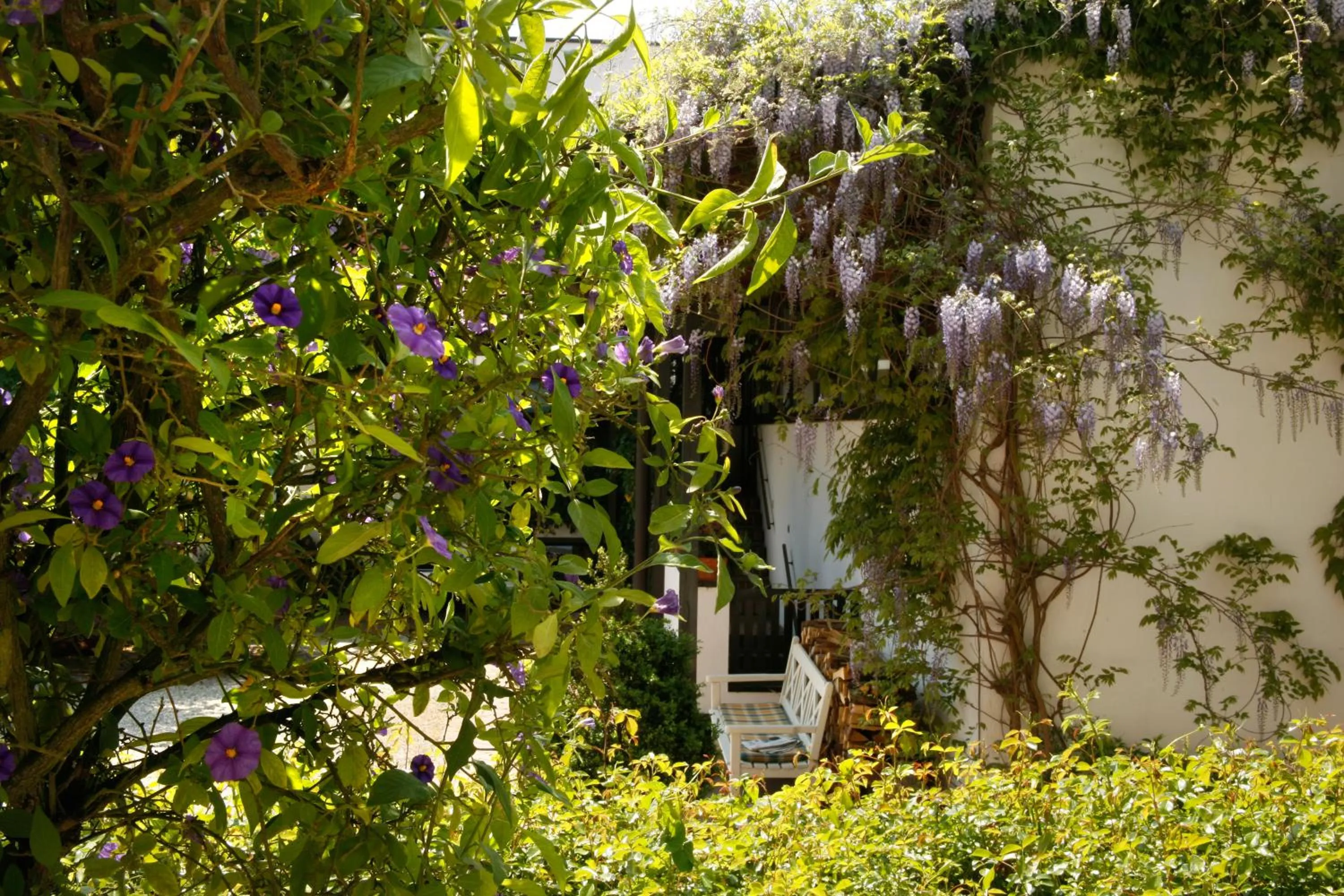 Day in Hotel Hofmark