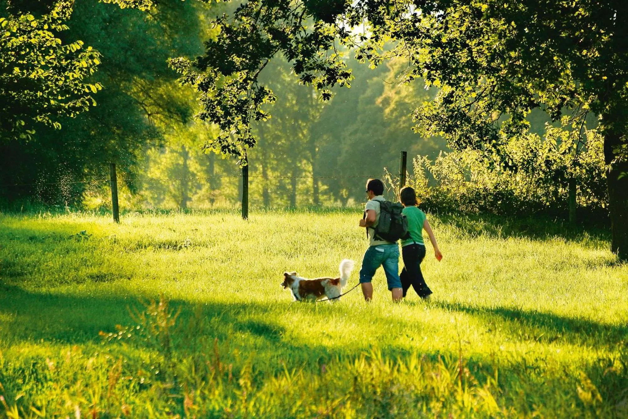 Hiking in Hotel Alter Weißbräu