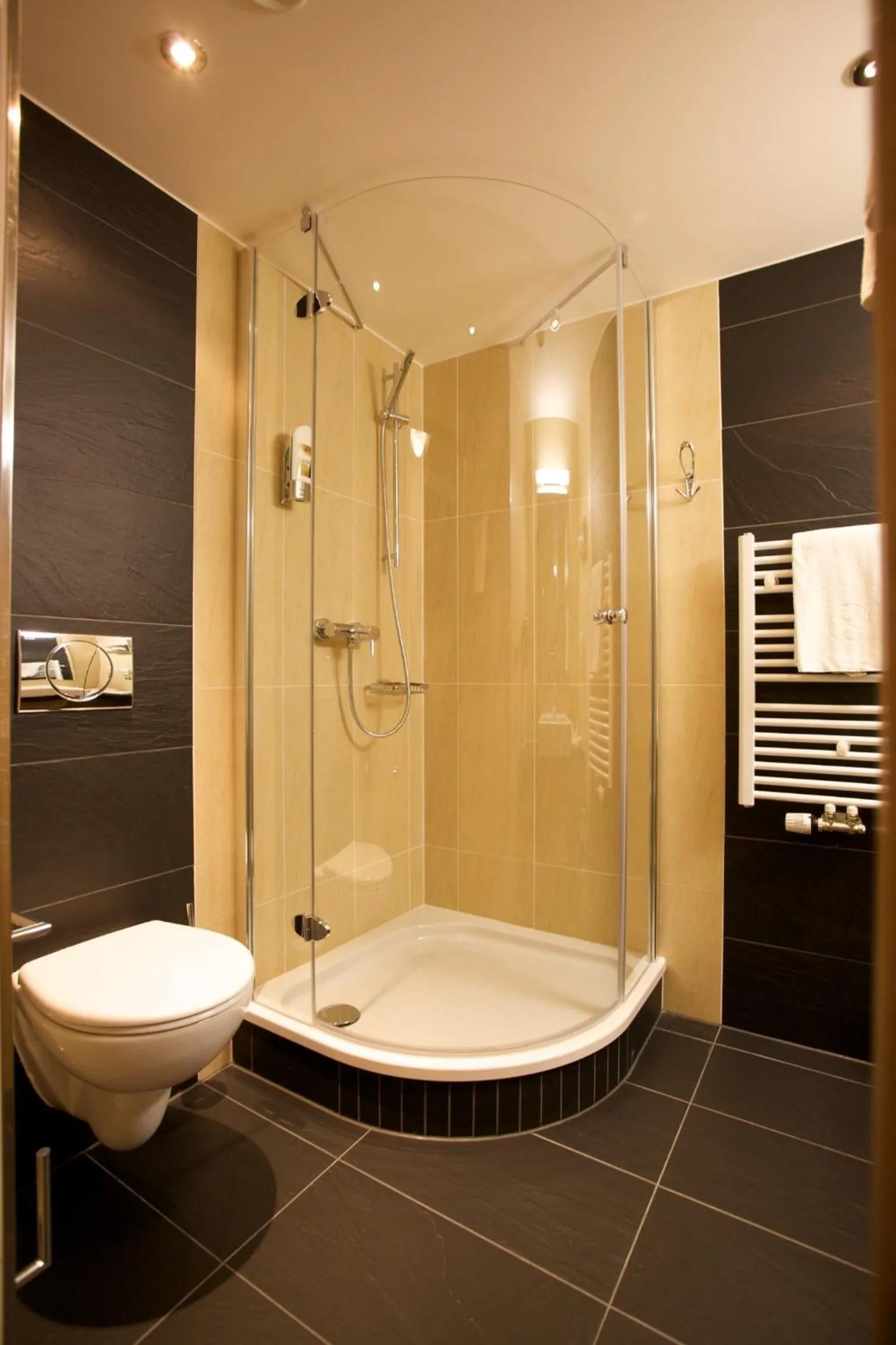 Shower in Hotel Bildungsblick