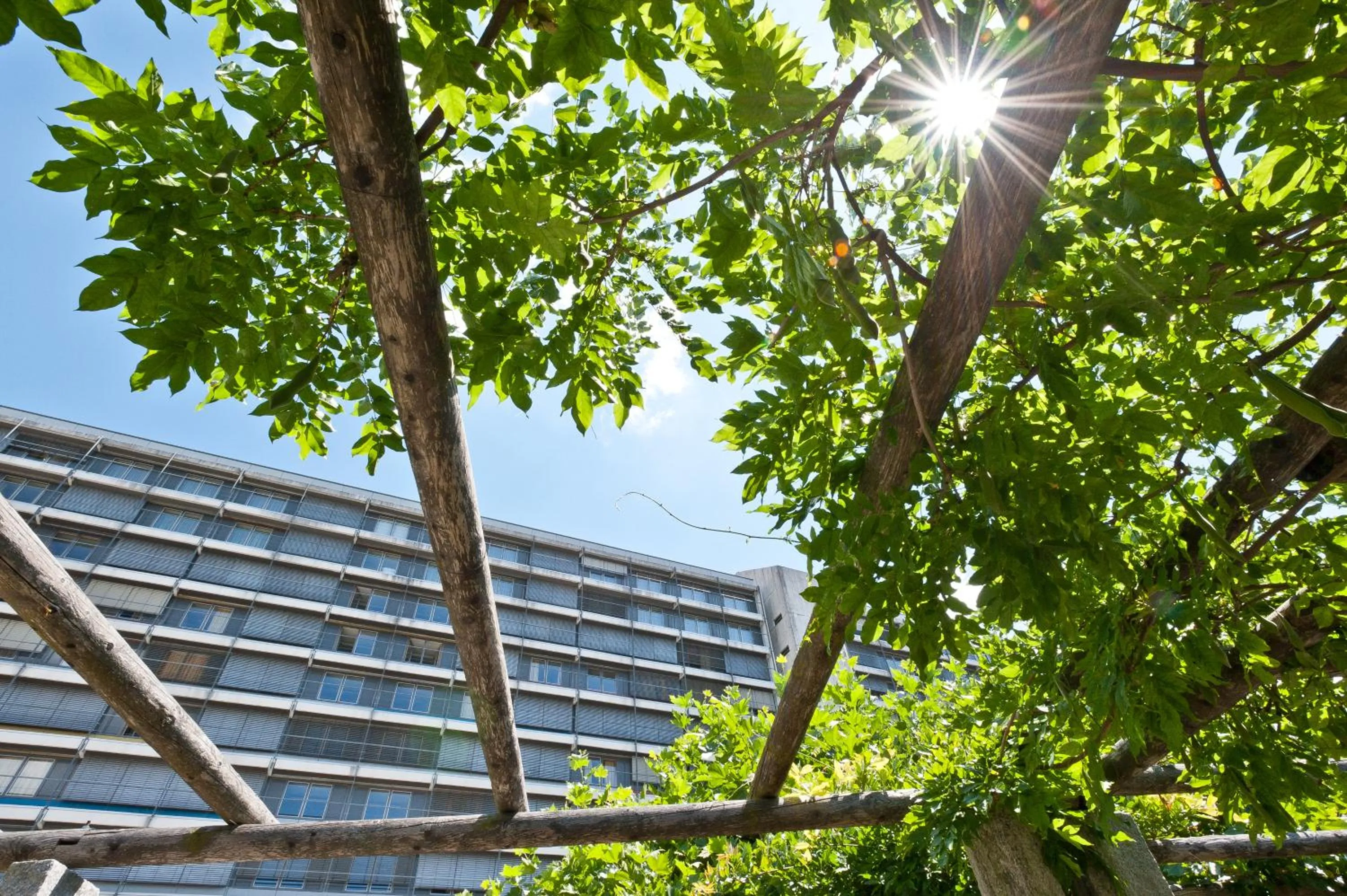Facade/entrance in Hotel Bildungsblick