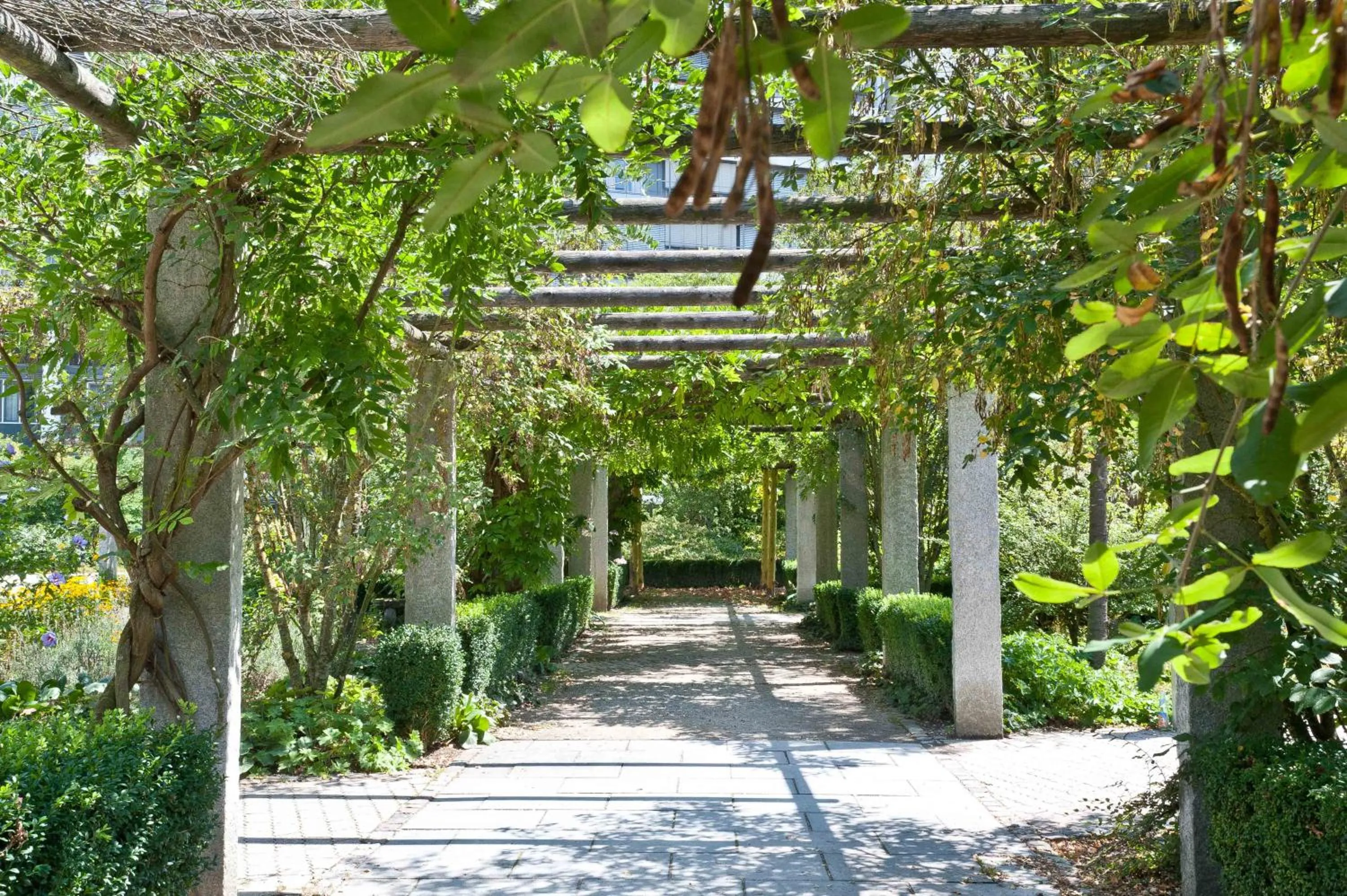 Garden in Hotel Bildungsblick