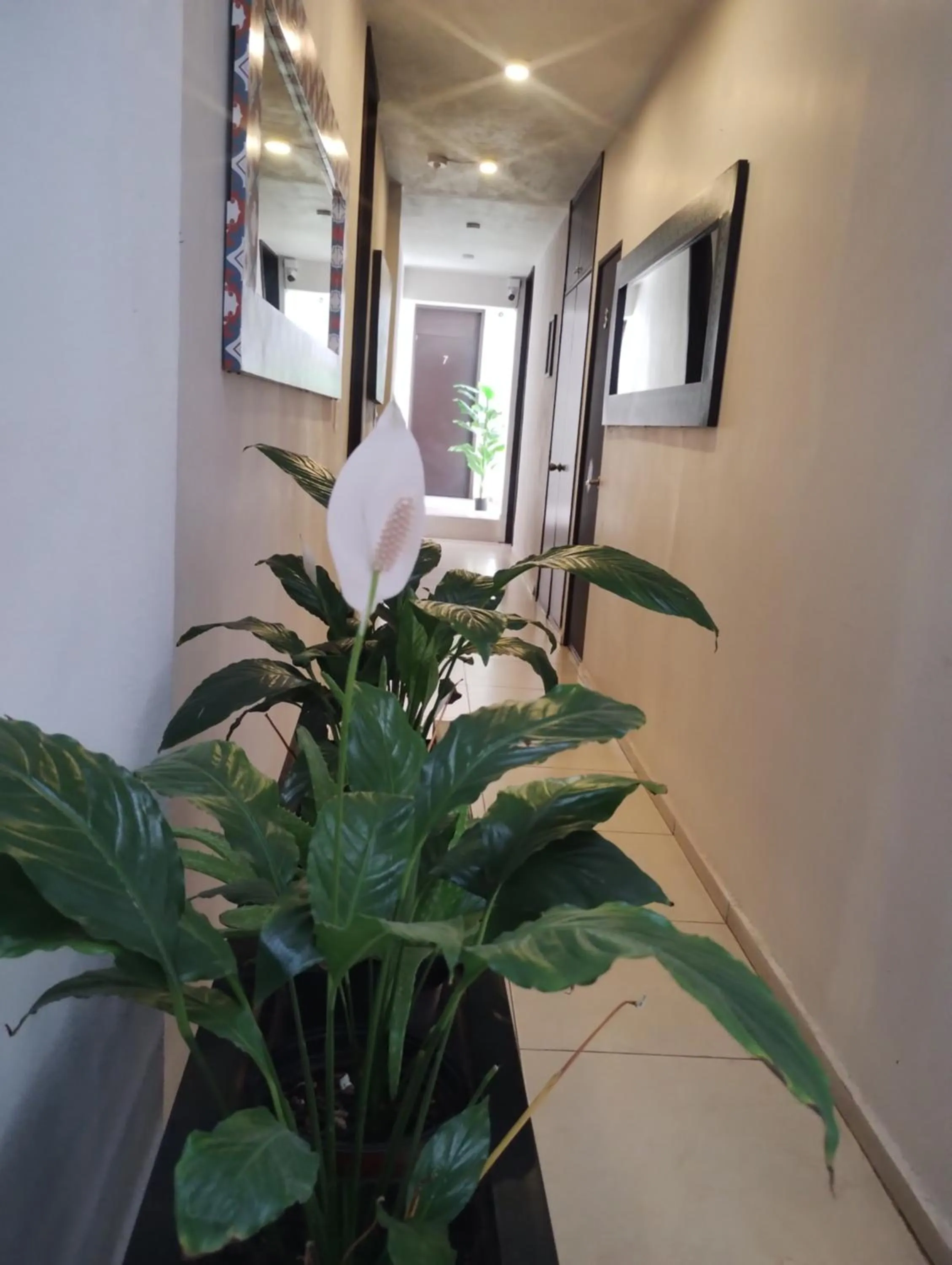 Lobby or reception in Hotel Tao