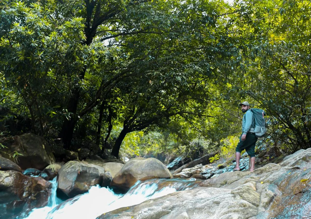Day in Hidden Valley Cottage Vagamon