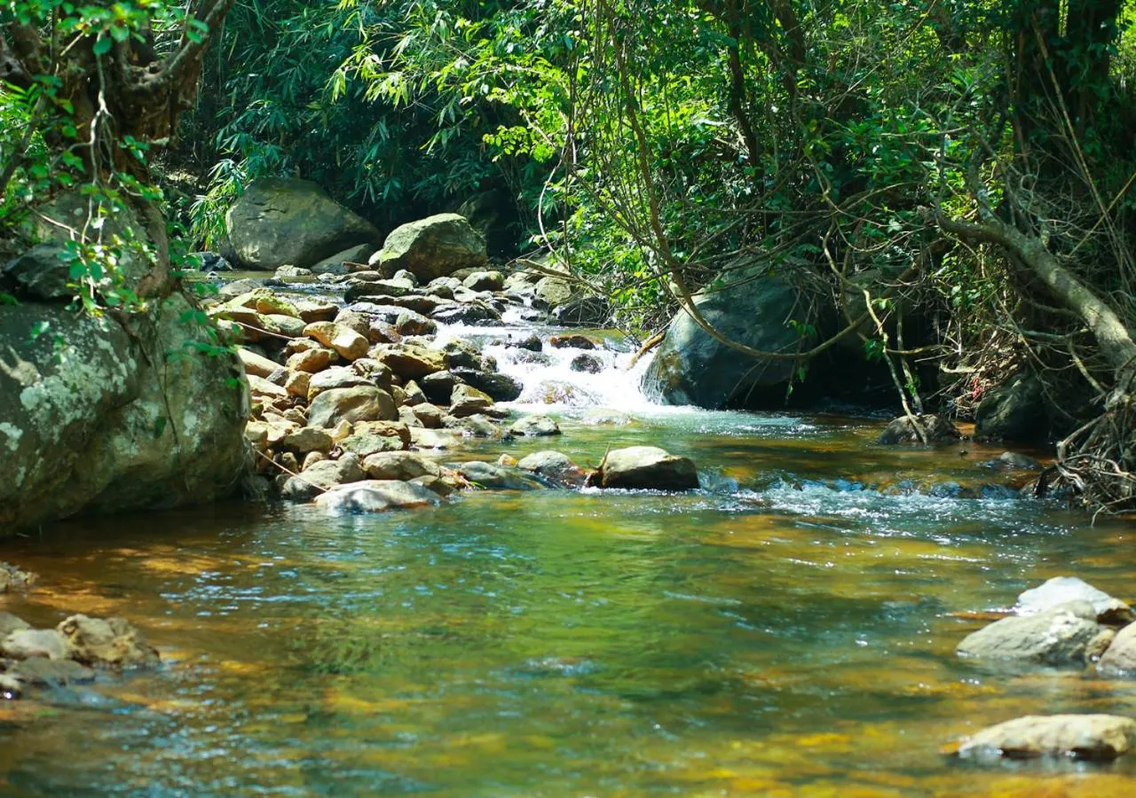 Day in Hidden Valley Cottage Vagamon