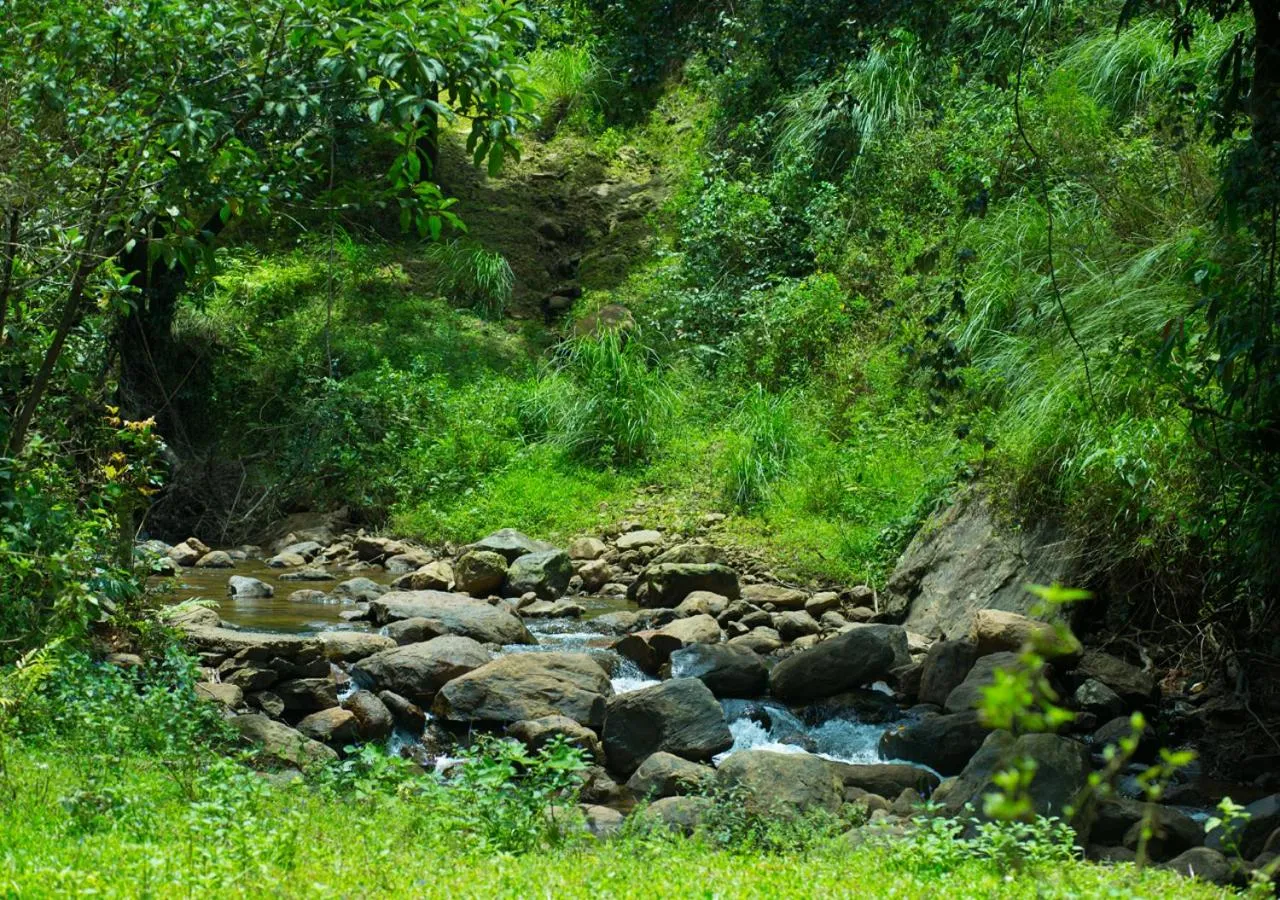 Natural landscape in Hidden Valley Cottage Vagamon
