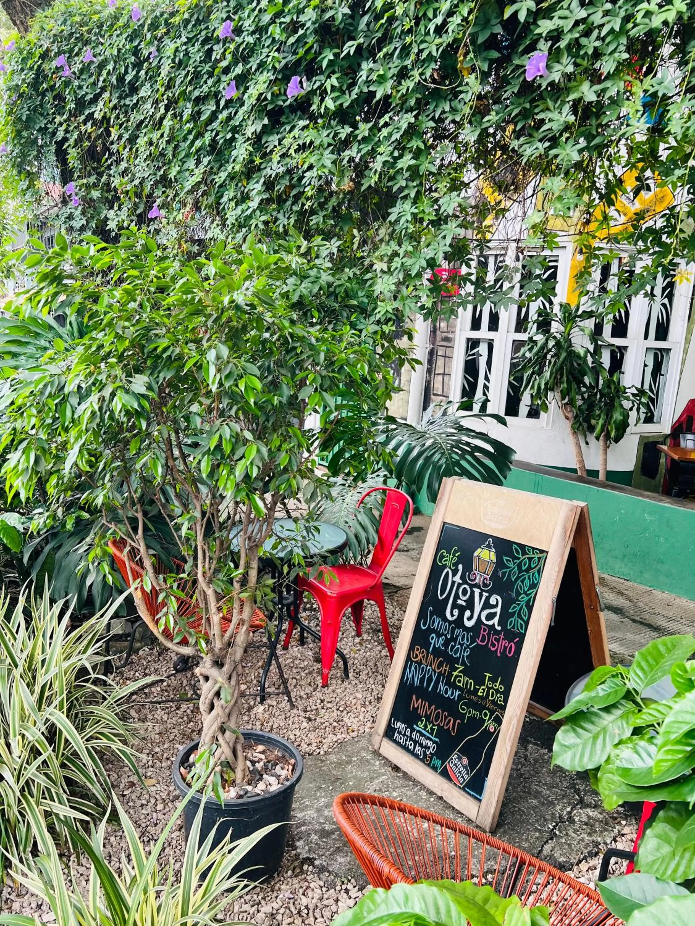 Garden in Otoya 1907 Hotel
