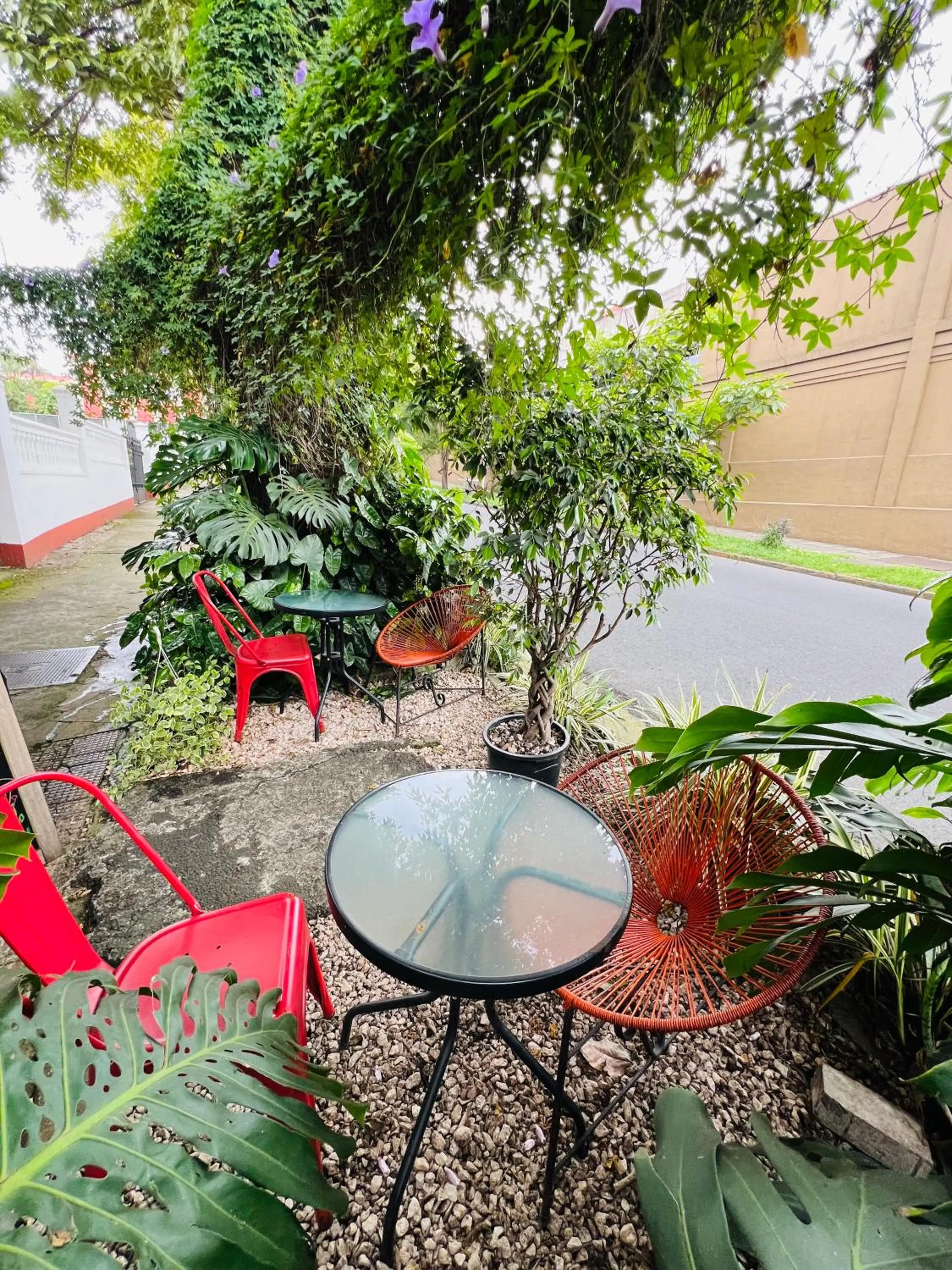 Garden in Otoya 1907 Hotel