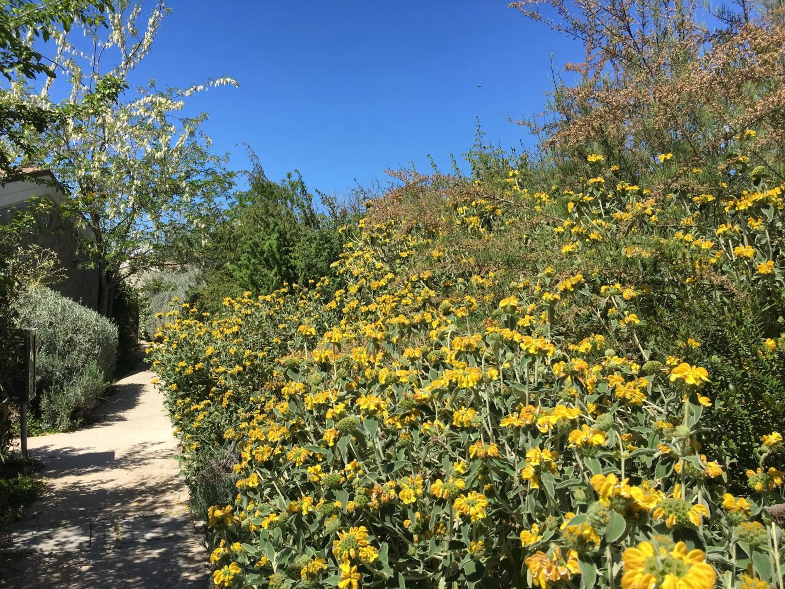 Other in Camping Village Rocchette