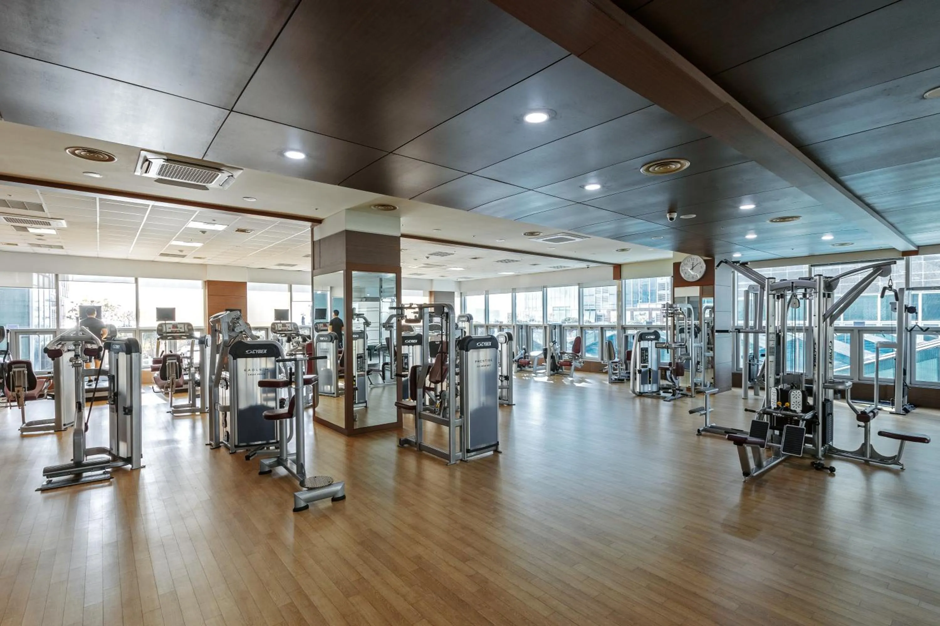 Fitness centre/facilities in Pale De Cz Condo