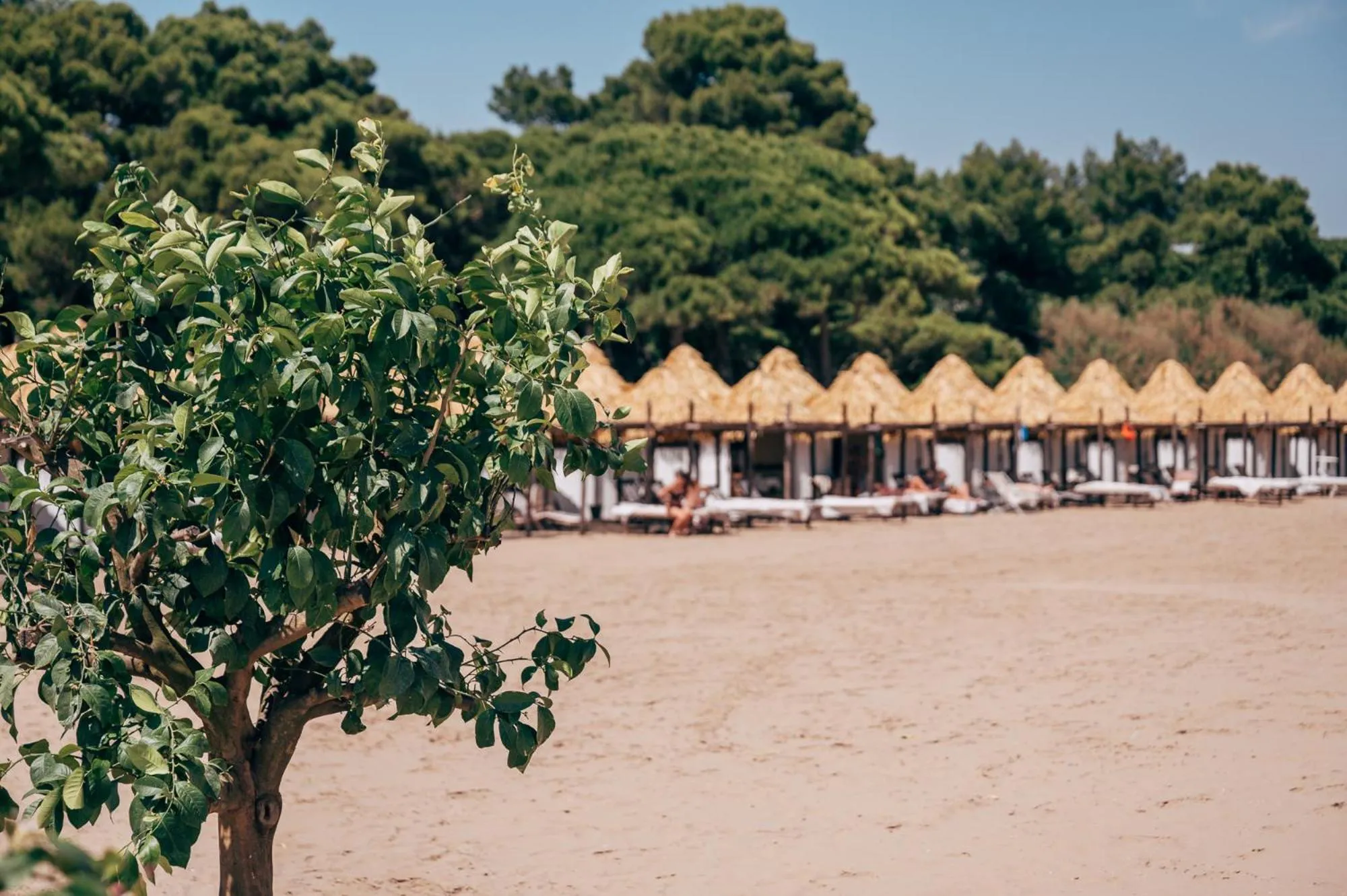 Beach in DB Villas Le Ville del Lido Resort