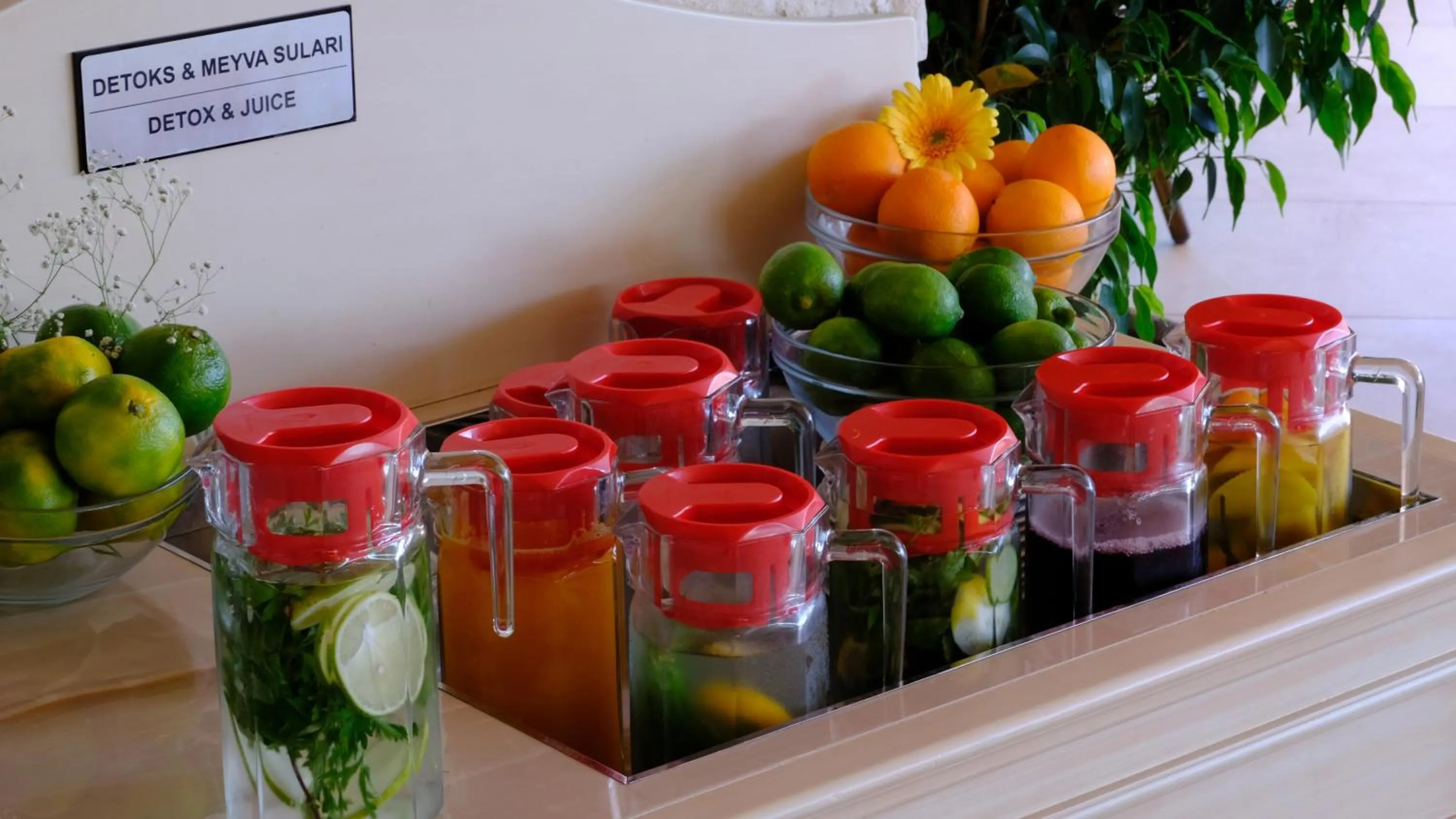 Food and drinks in Ece Saray Marina Resort