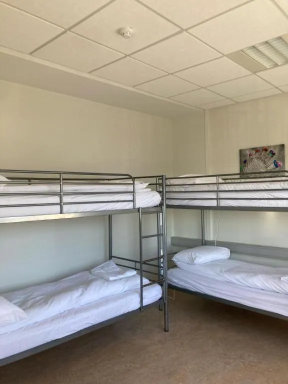 bunk bed, Bed in Baron's Hostel