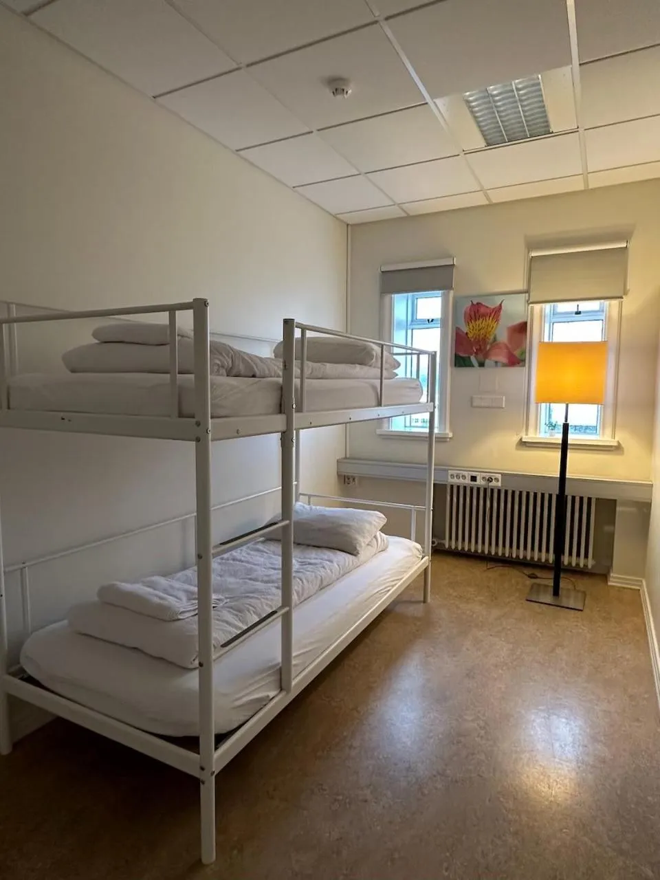 City view, Bed in Baron's Hostel