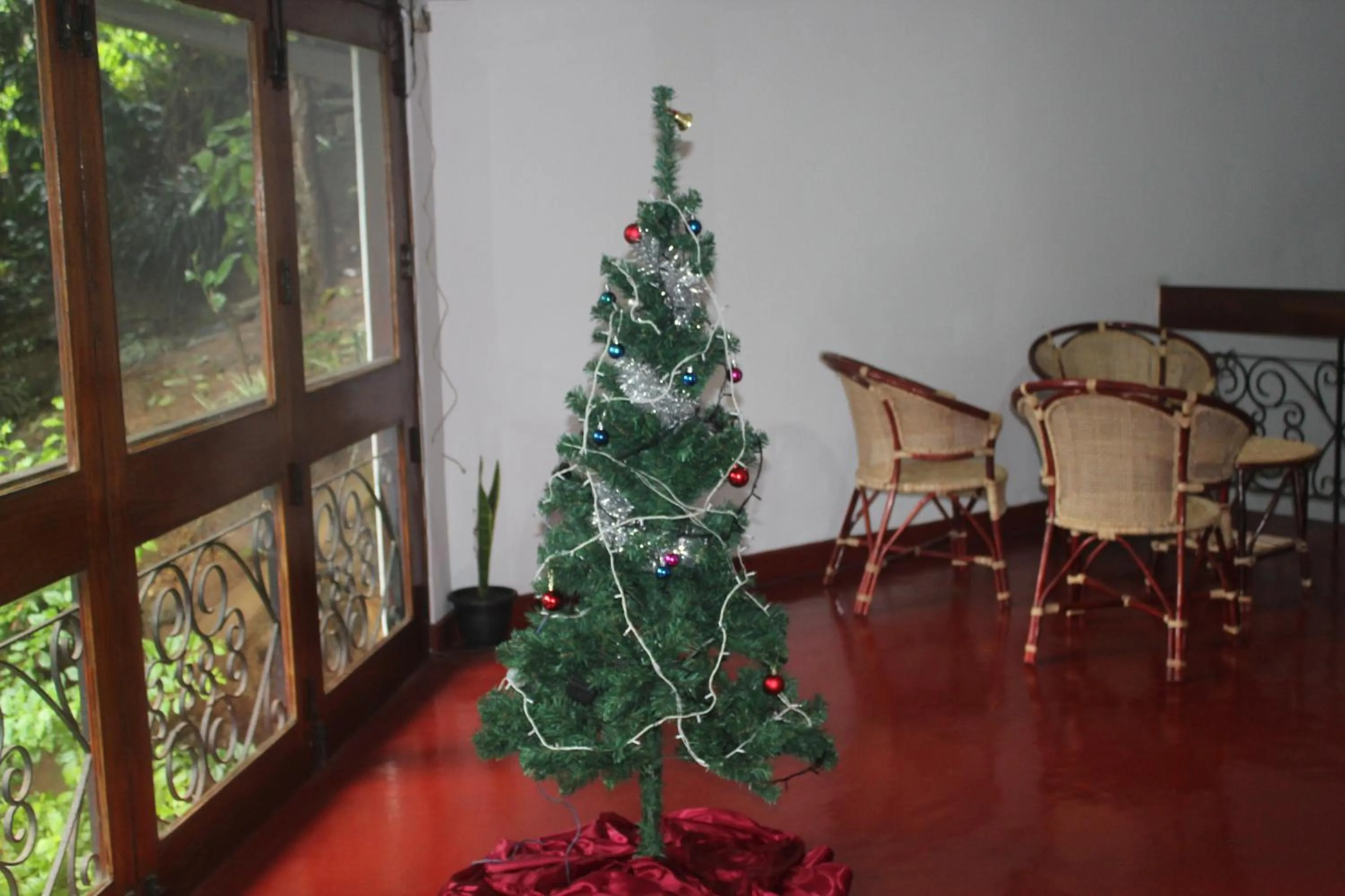 Communal lounge/ TV room in Lazy Bear Best Hostel in Kandy