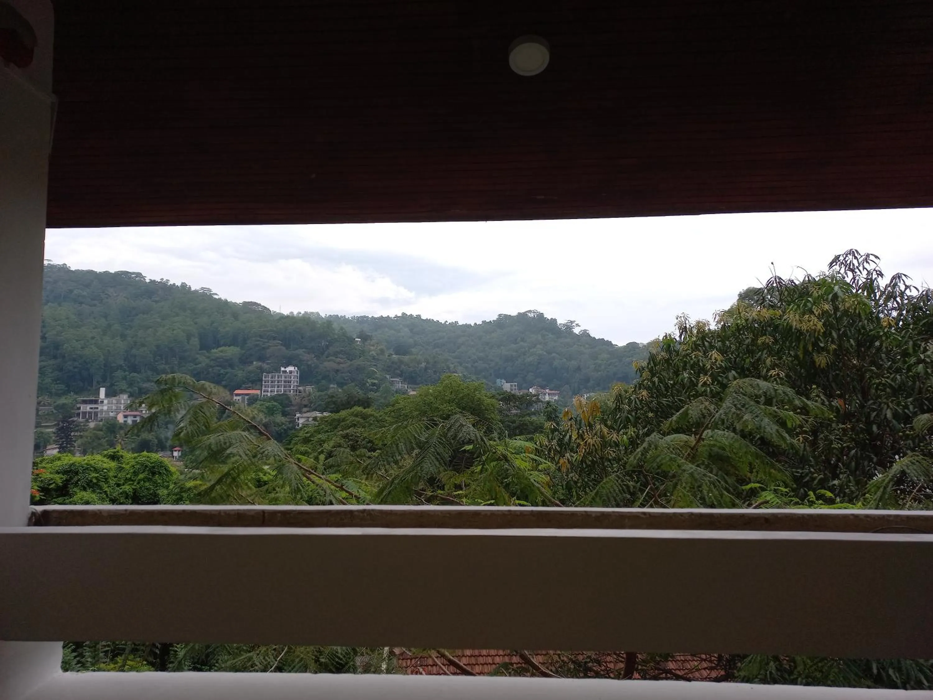 View (from property/room) in Lazy Bear Best Hostel in Kandy