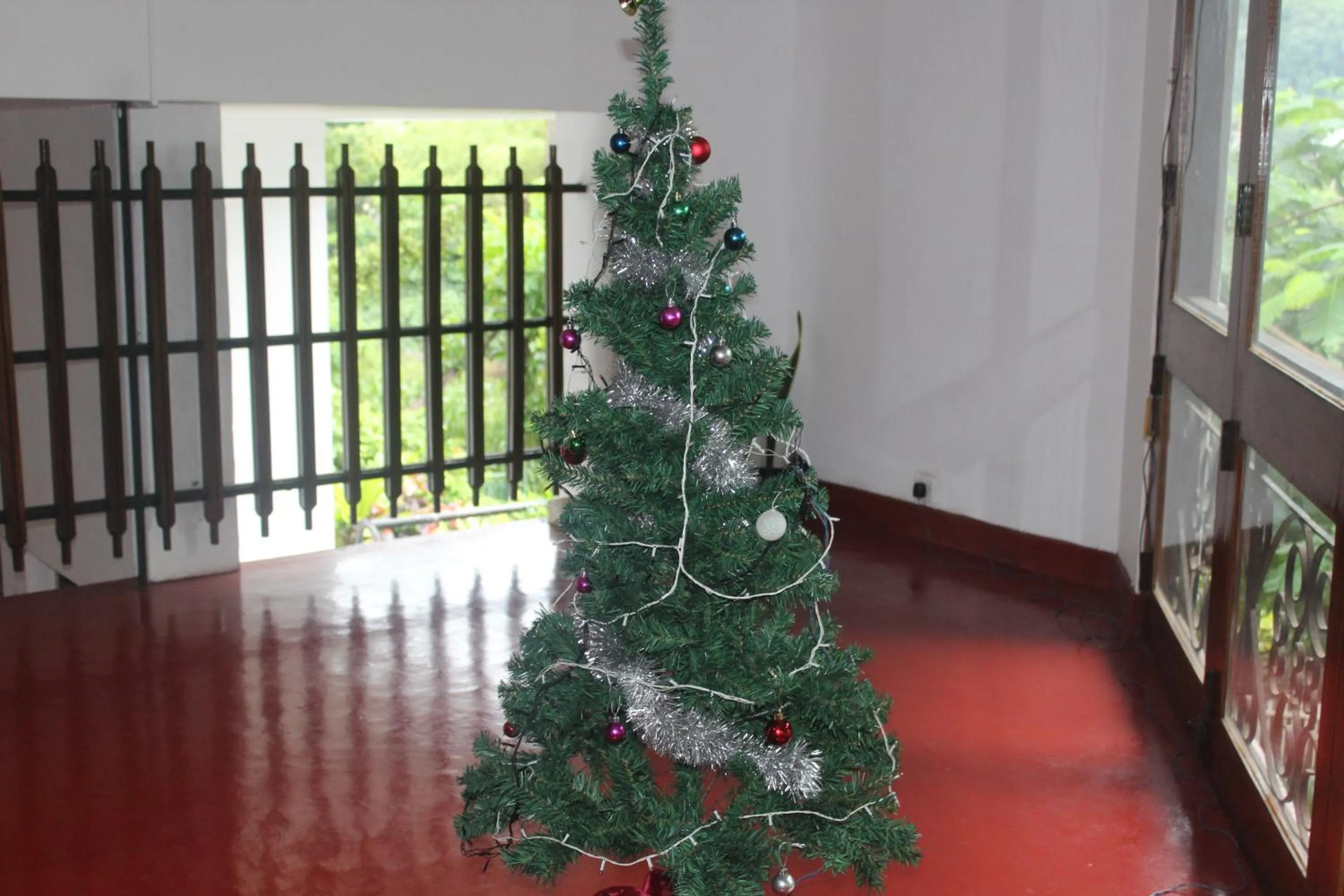 Communal lounge/ TV room in Lazy Bear Best Hostel in Kandy