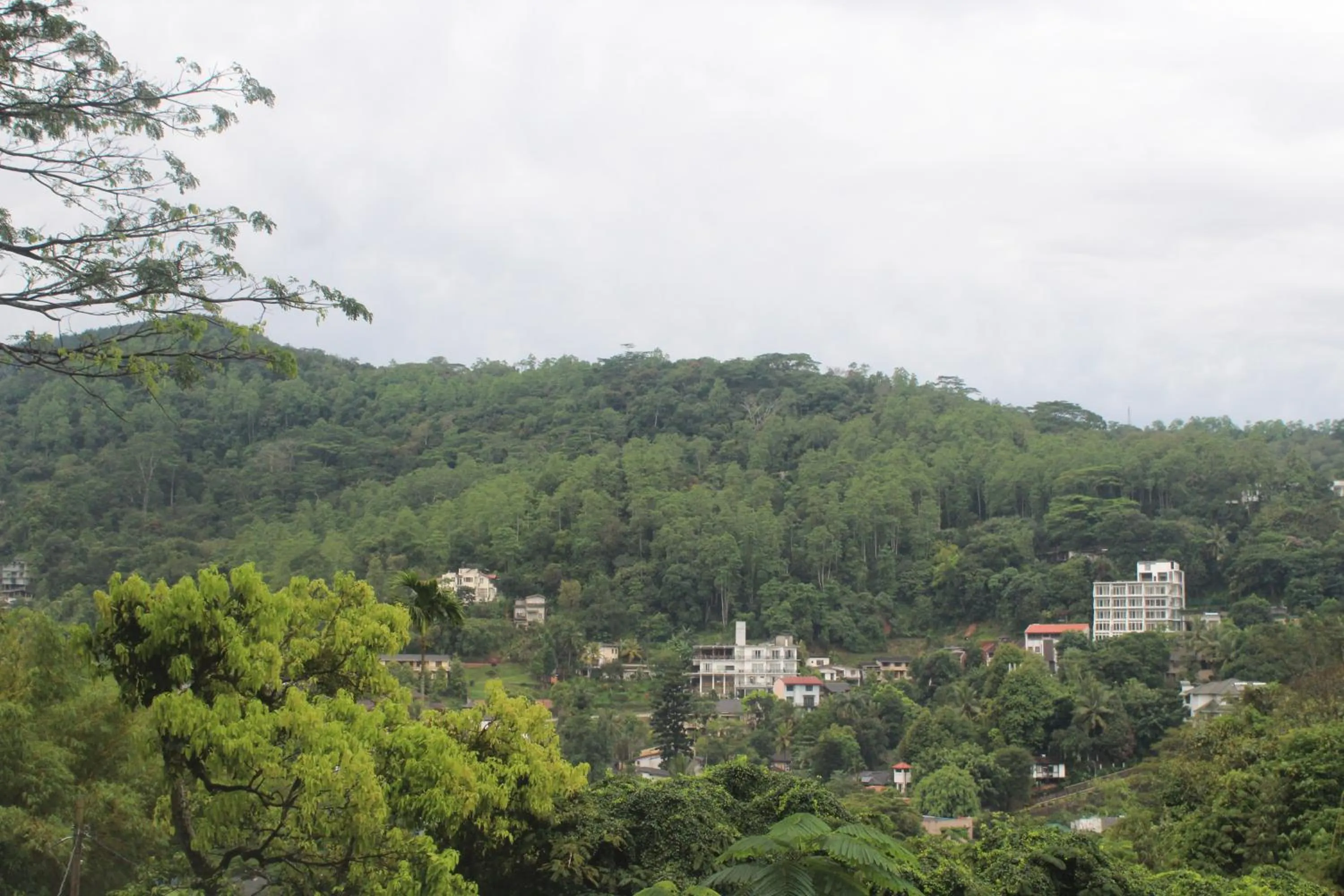 Seating area in Lazy Bear Best Hostel in Kandy