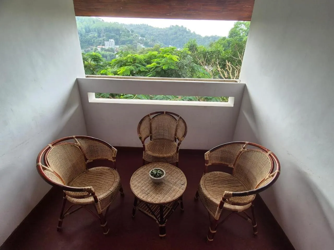 Property building in Lazy Bear Best Hostel in Kandy