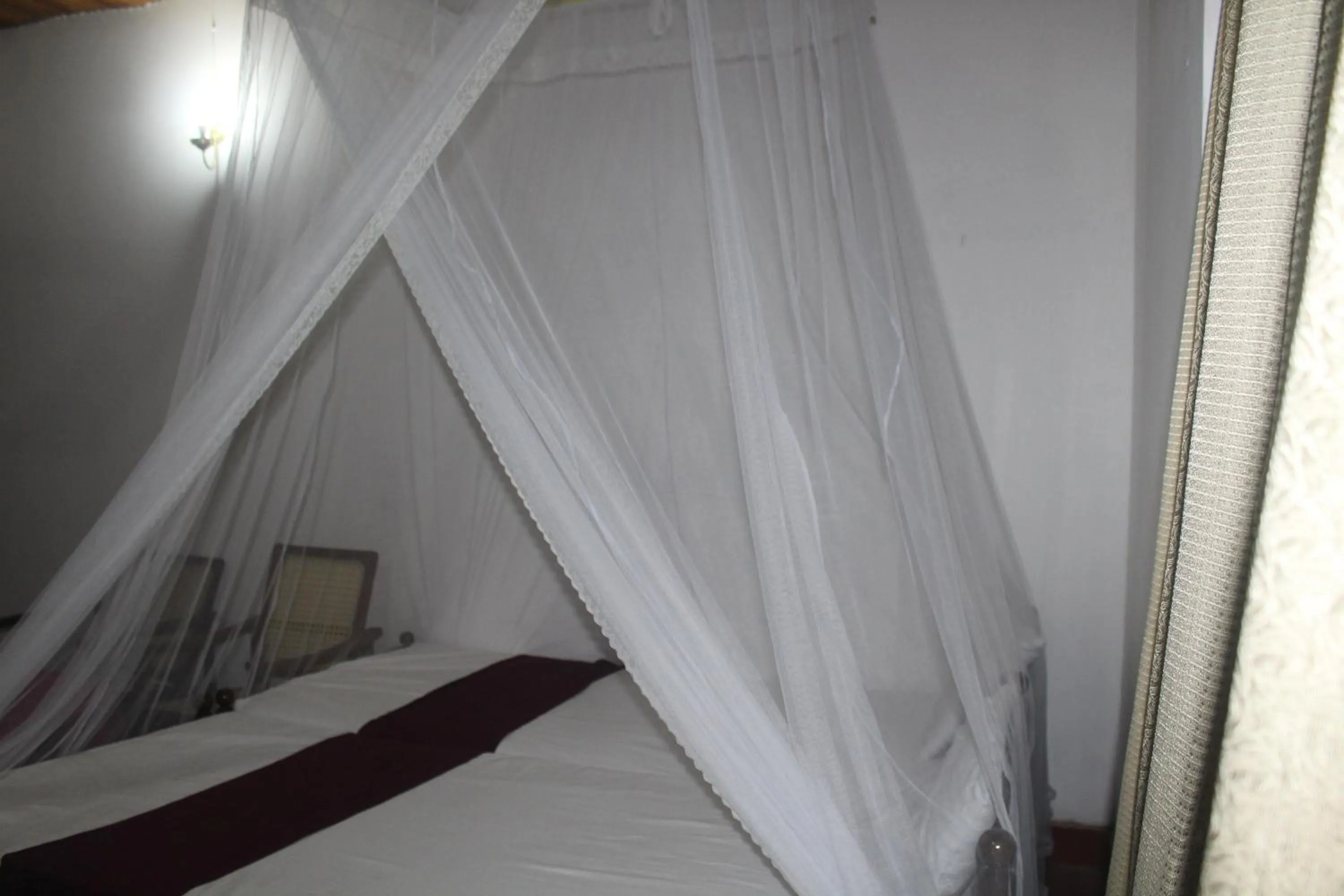 Bed in Lazy Bear Best Hostel in Kandy