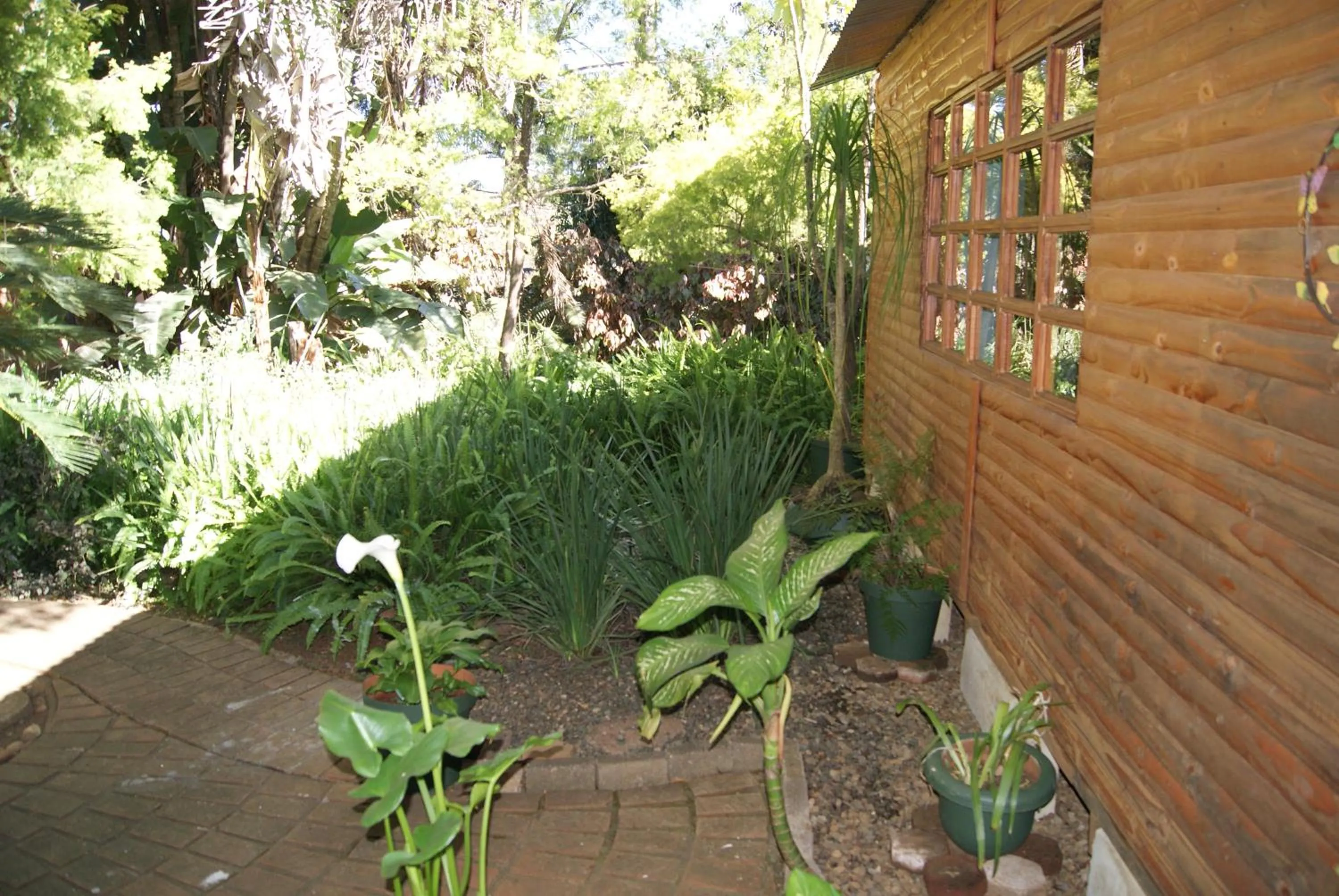 Fern Cottage