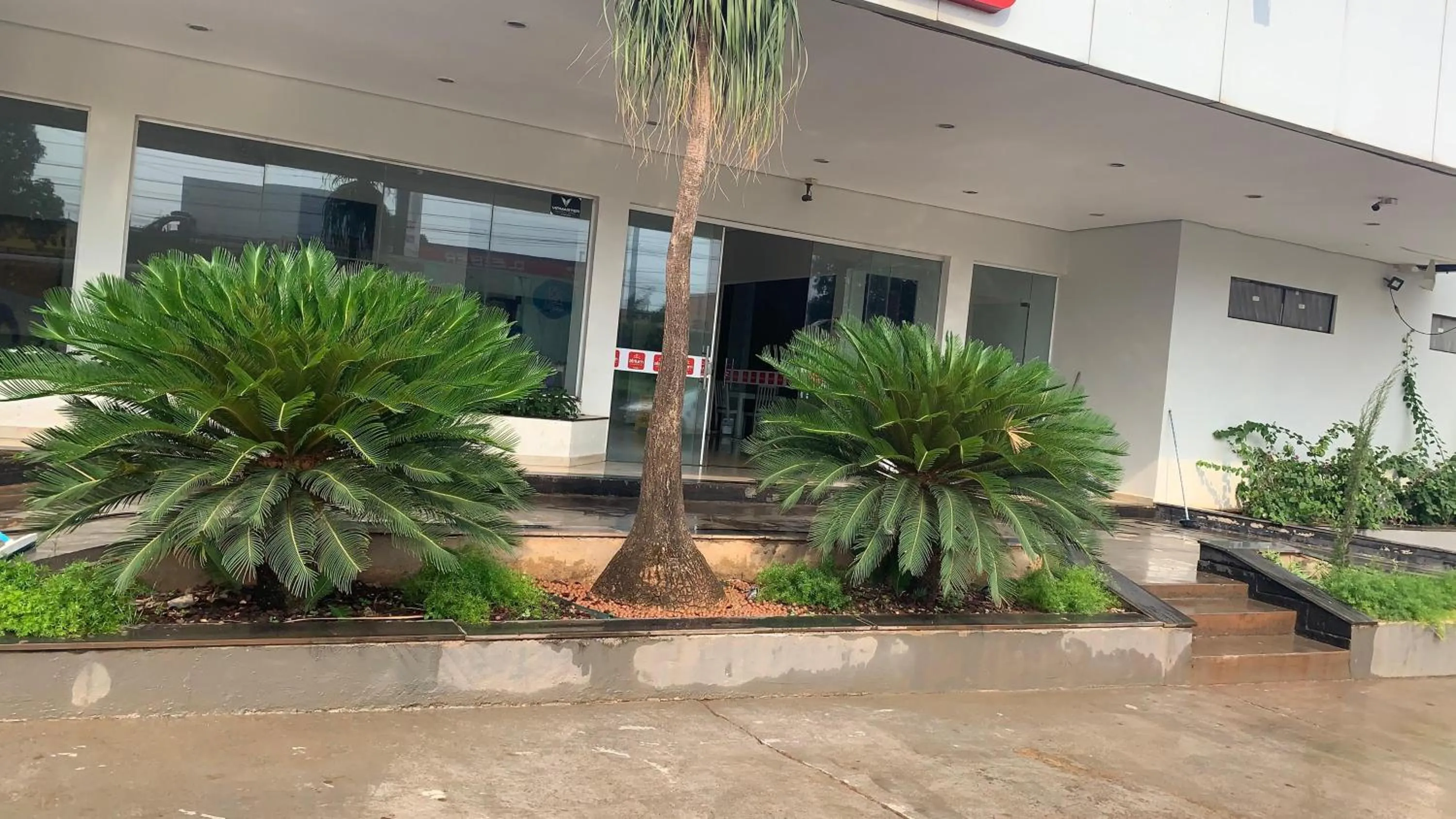 Garden in Atrium Express Hotels