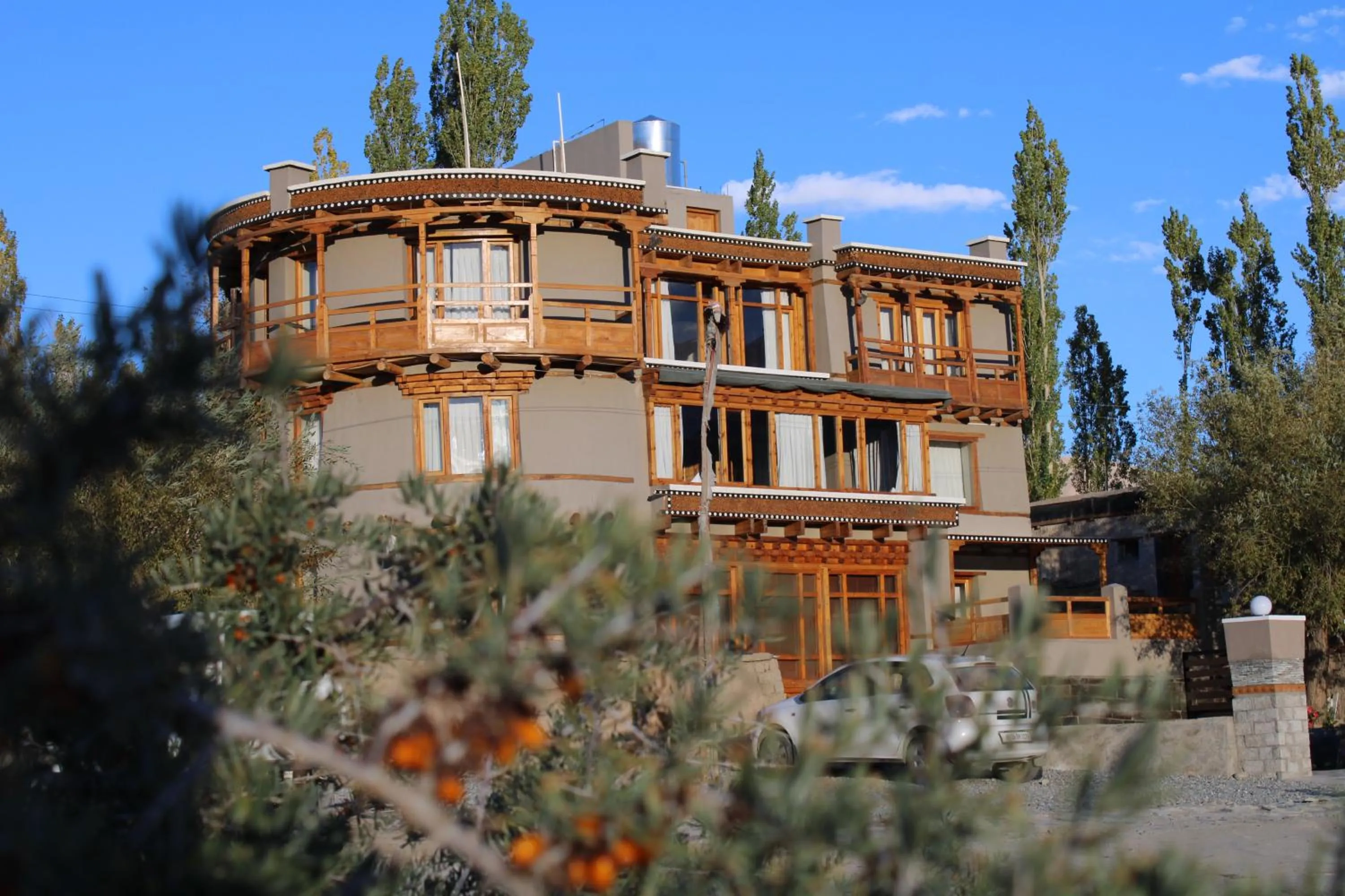 Garden view in Dakpa House Ladakh