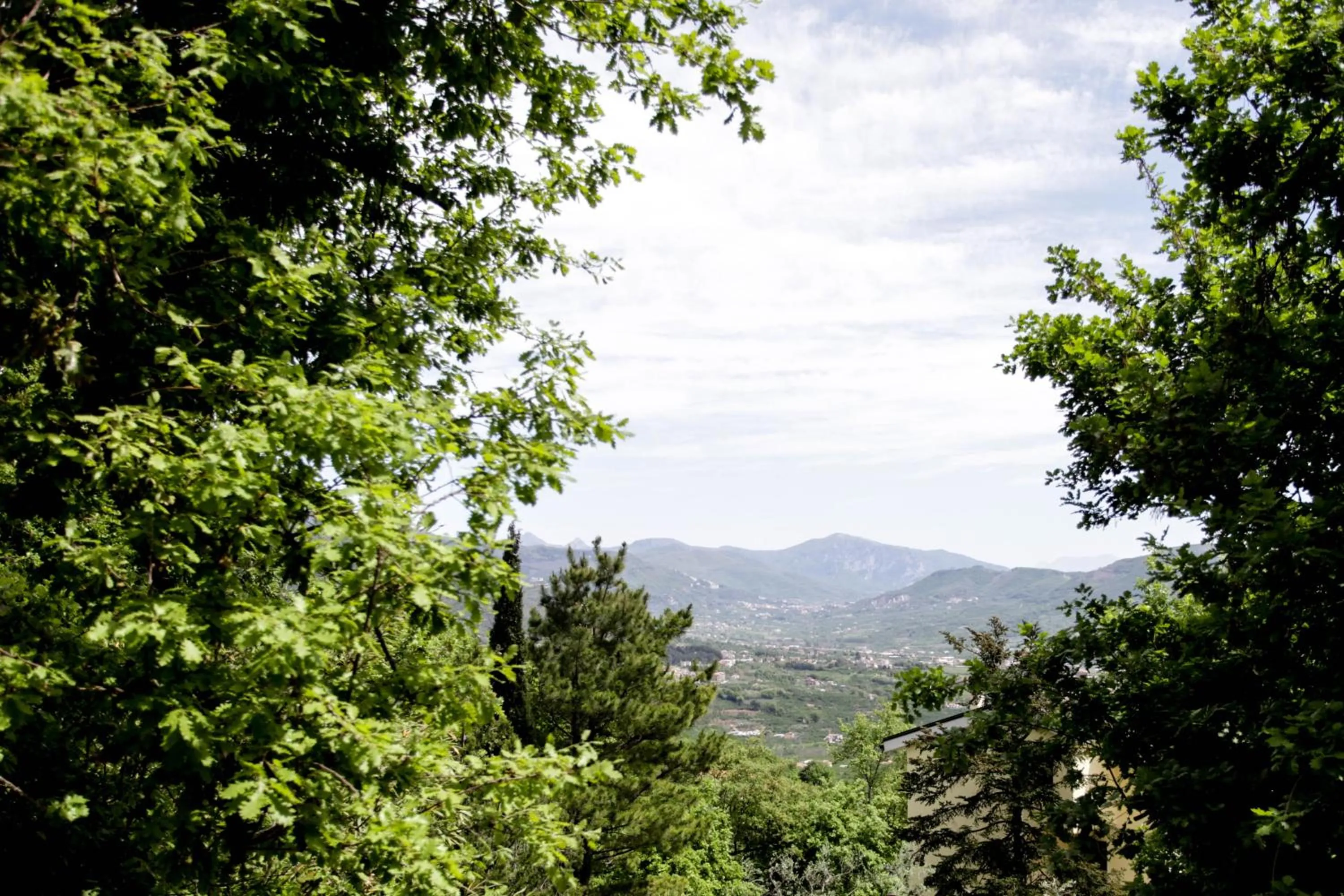 View (from property/room) in La Quercia Antica B&B