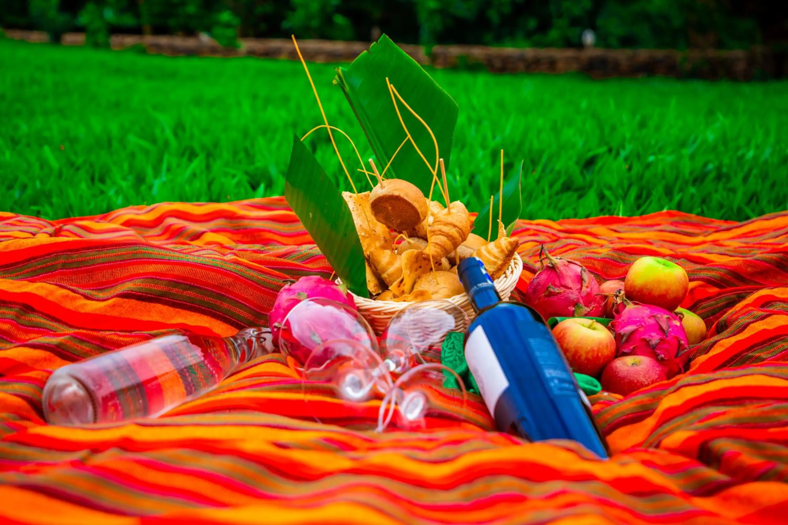 Garden in KISIMANI ECO RESORT & SPA LTD