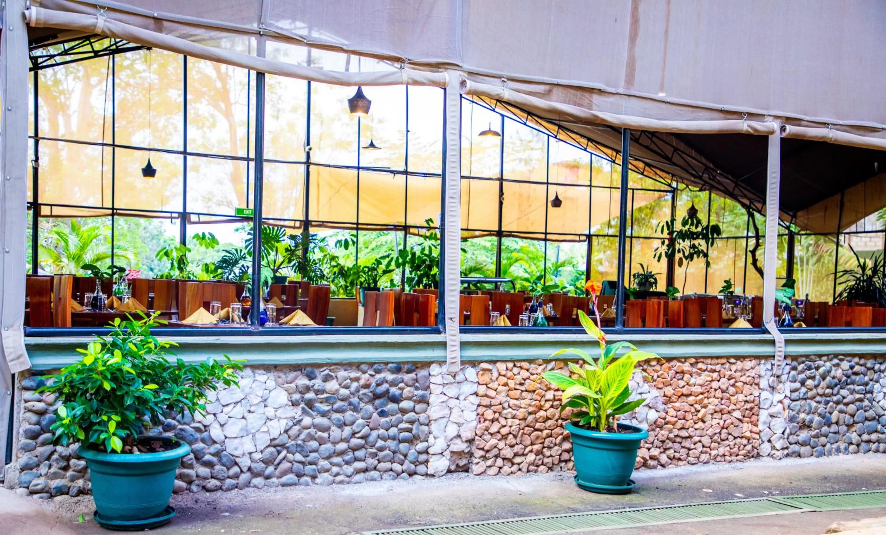 Garden view in KISIMANI ECO RESORT & SPA LTD